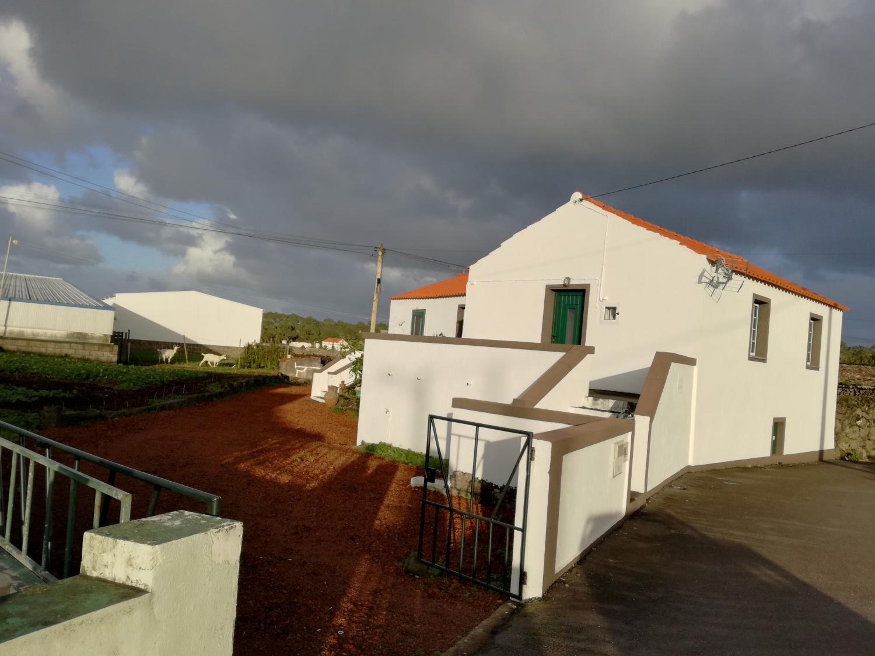 Casa dos biscoitos view 2