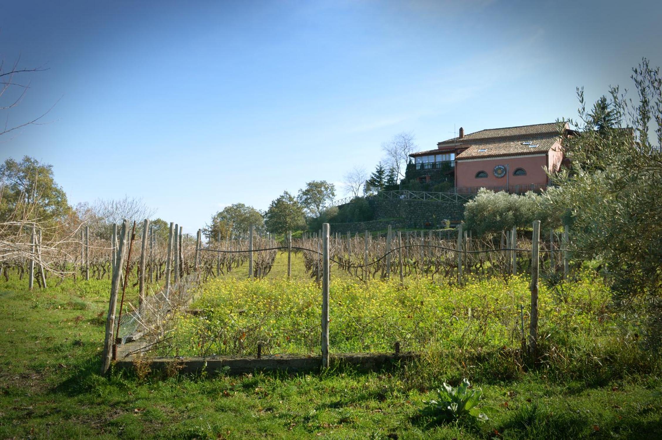 Agriturismo Kikajon