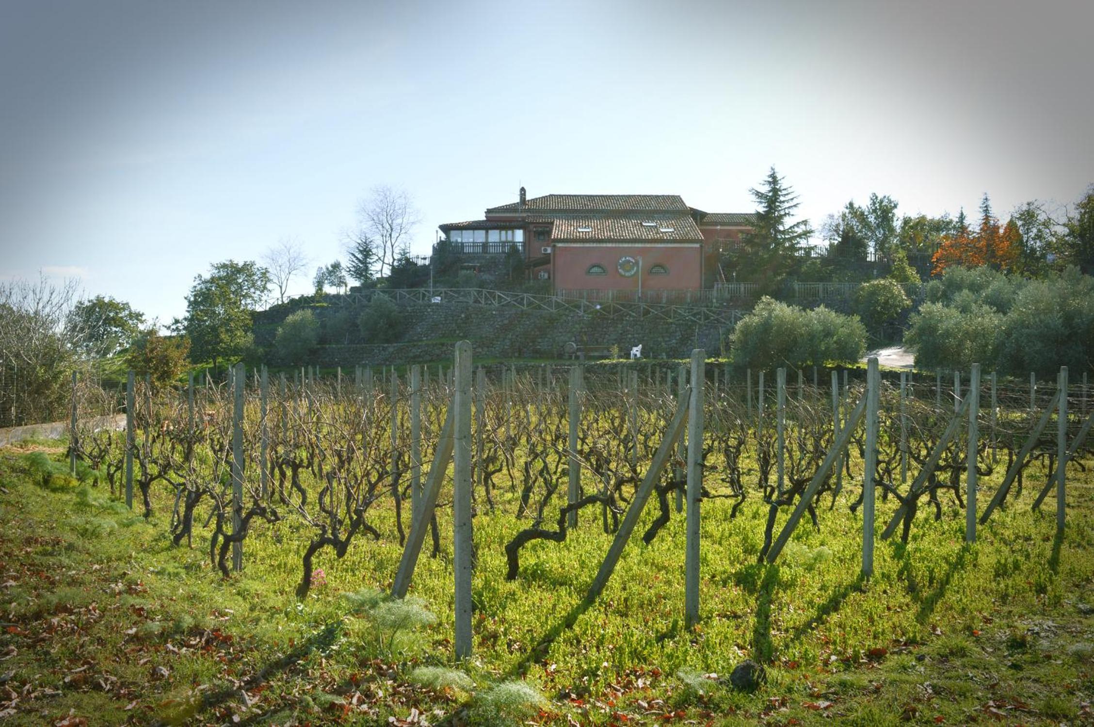 Agriturismo Kikajon