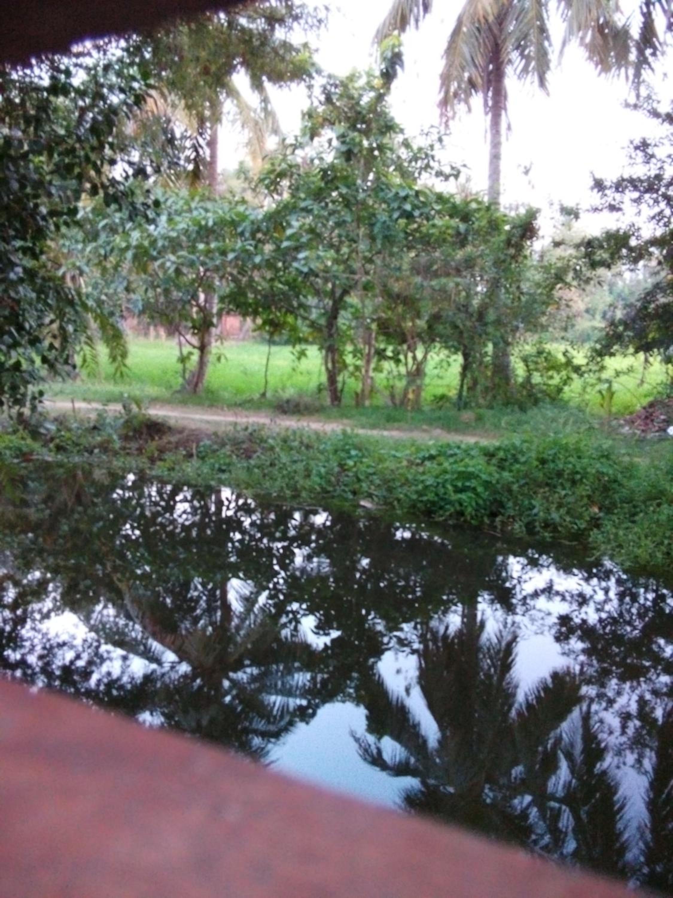 Photo 24
