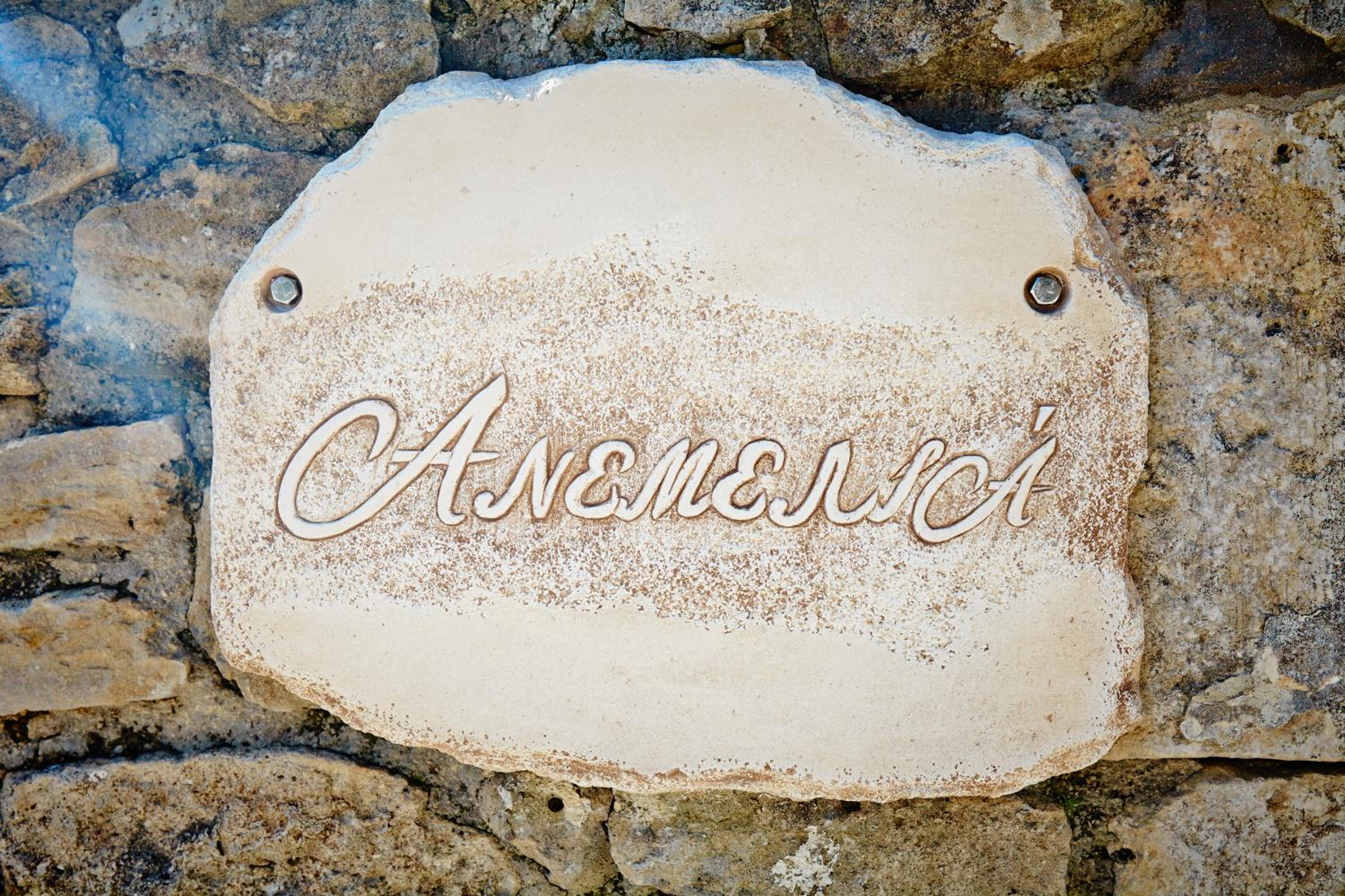 Anemelia' Villa view 2