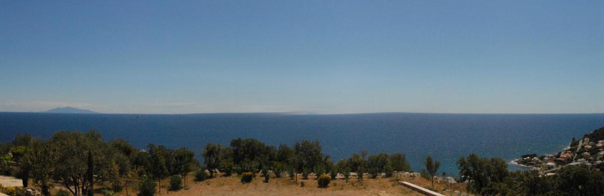 Photo 50