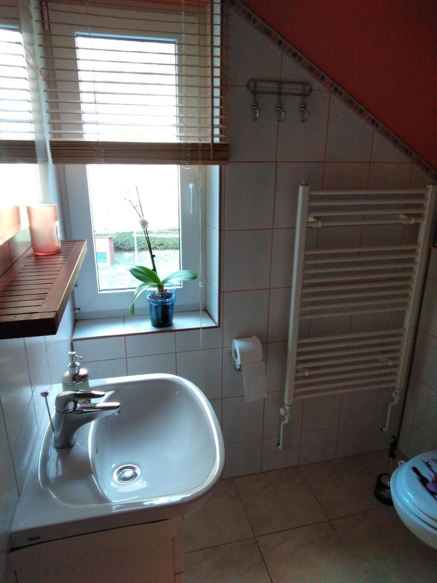 Apartmán Pod lesem view 5