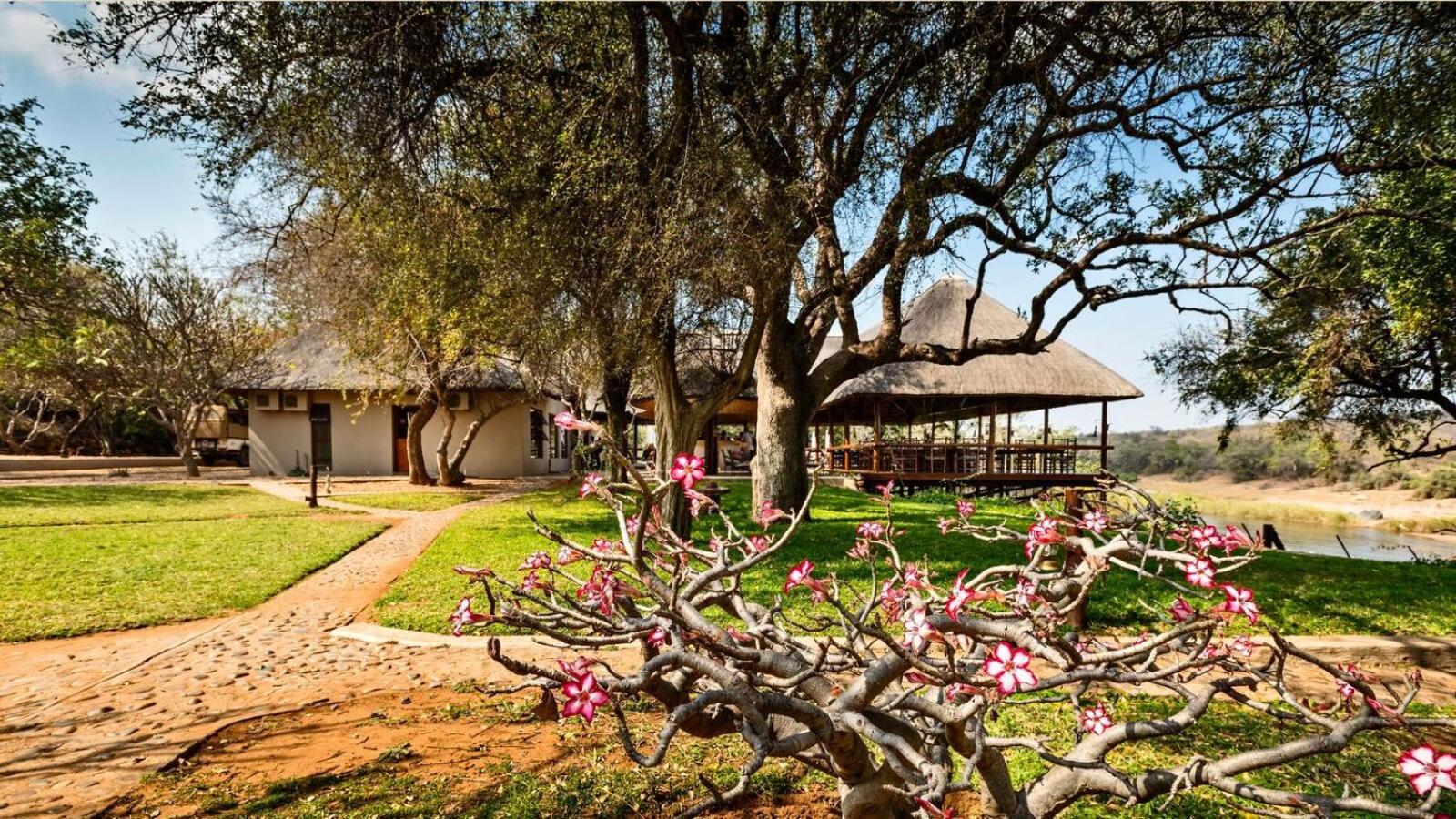 Nyati Safari Lodge