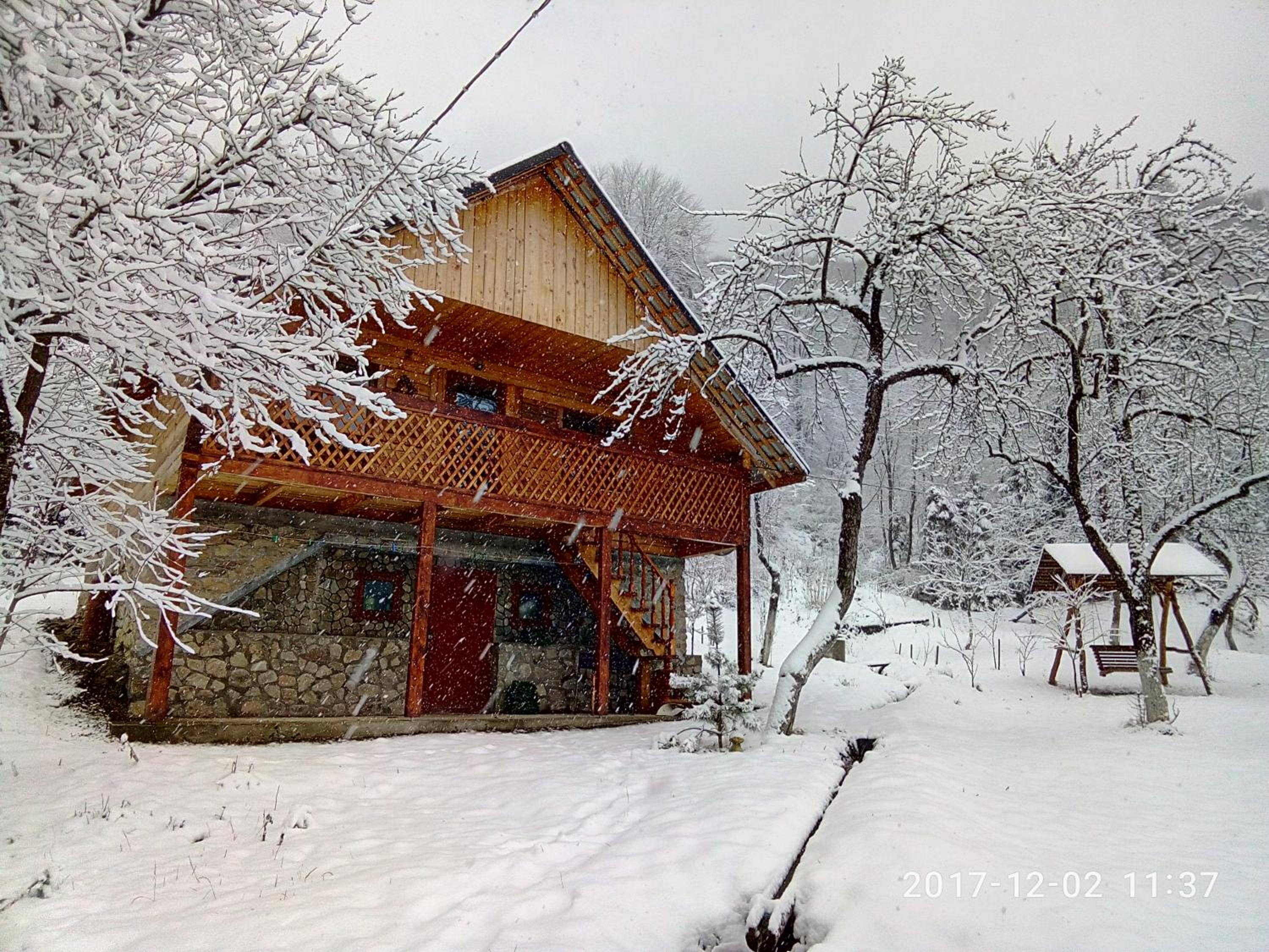 Photo 9