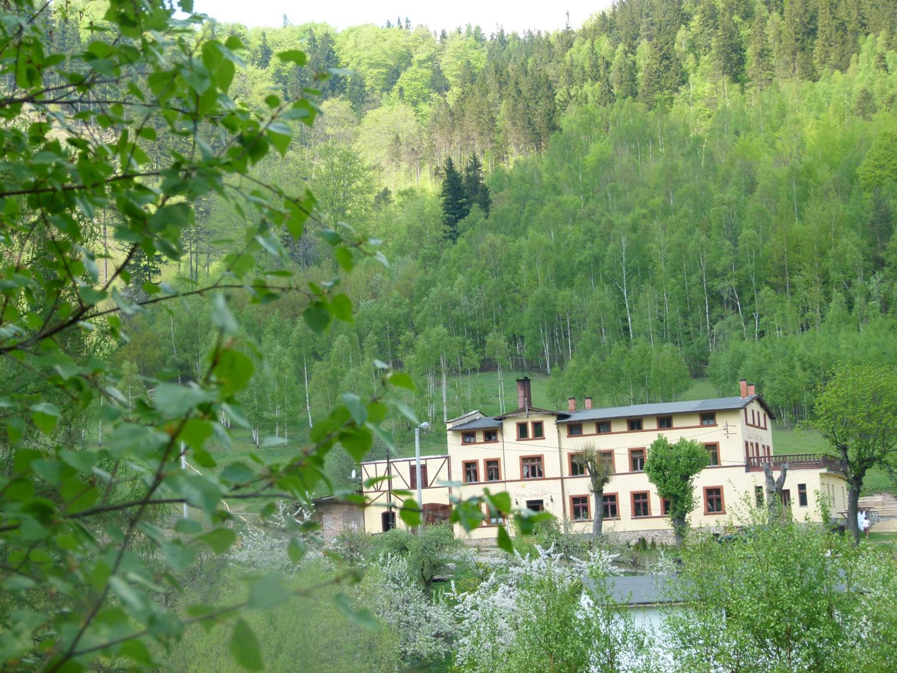 Photo 45