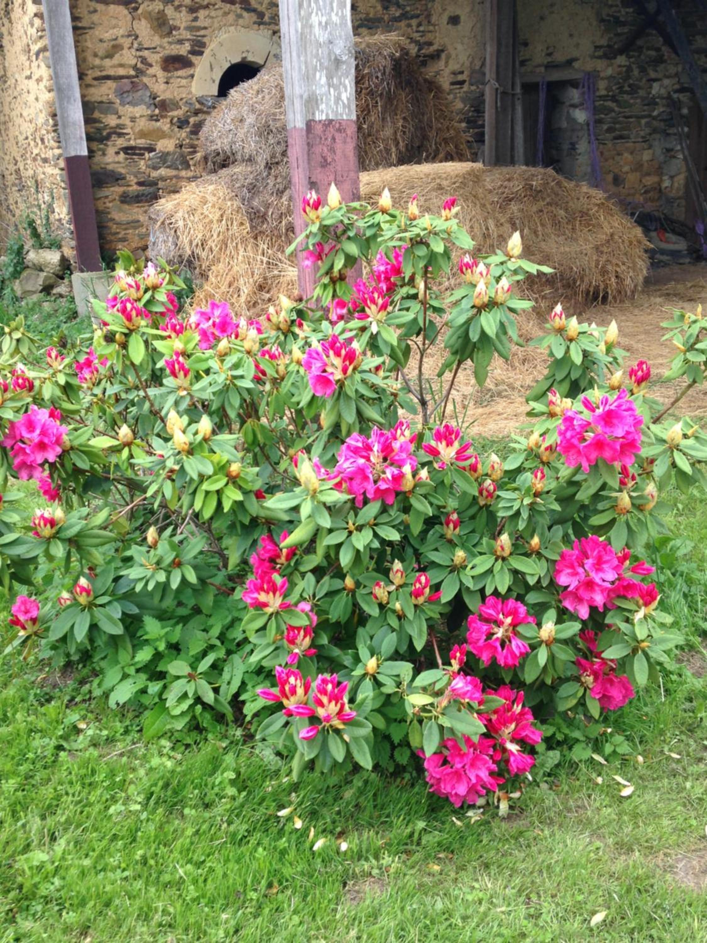Photo 22