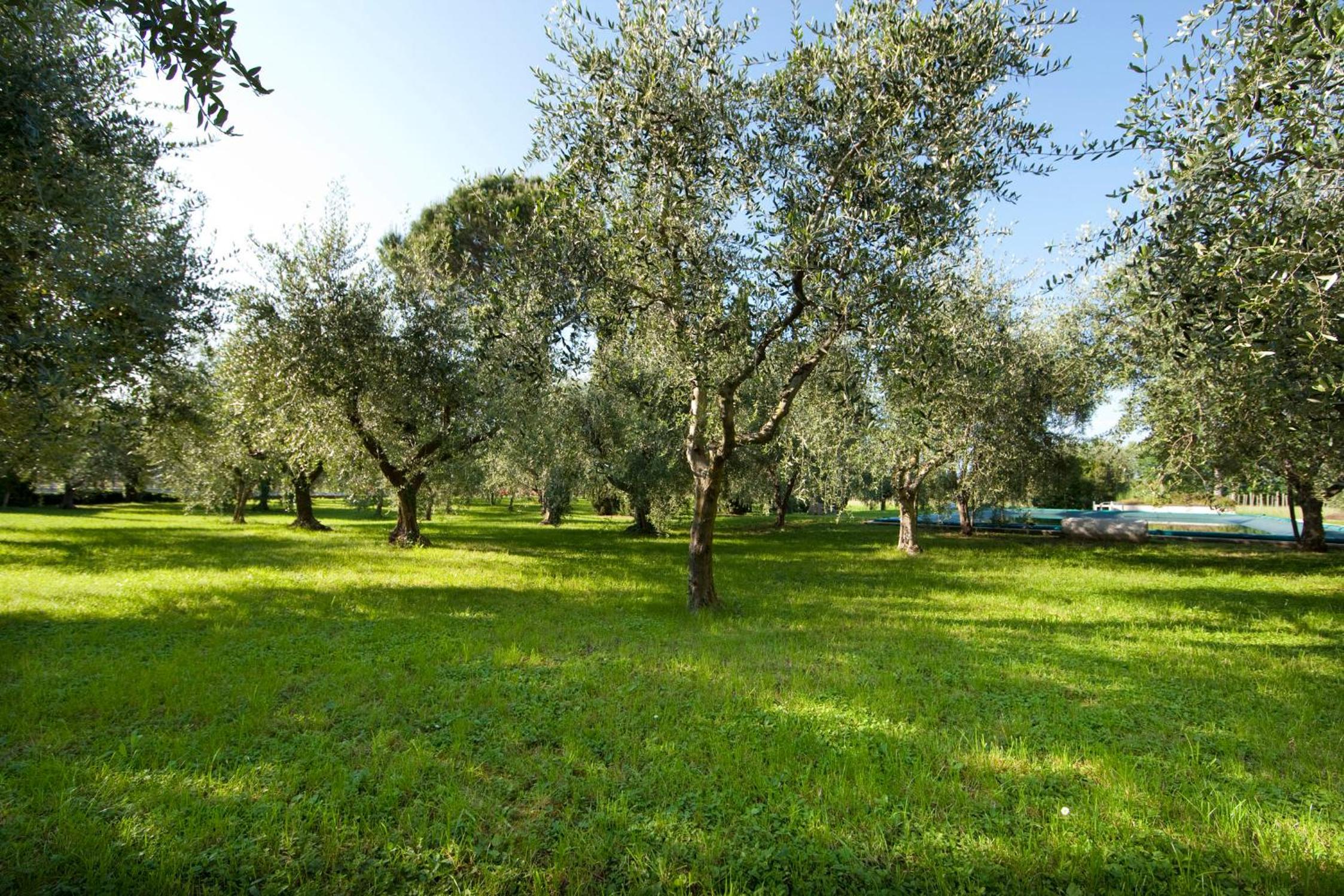 Photo 30