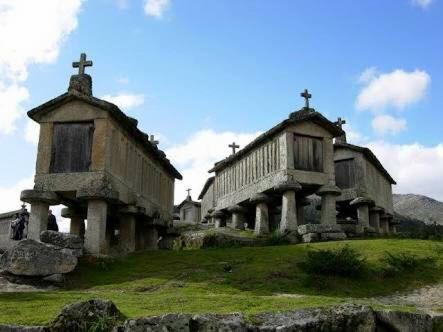 Photo 61
