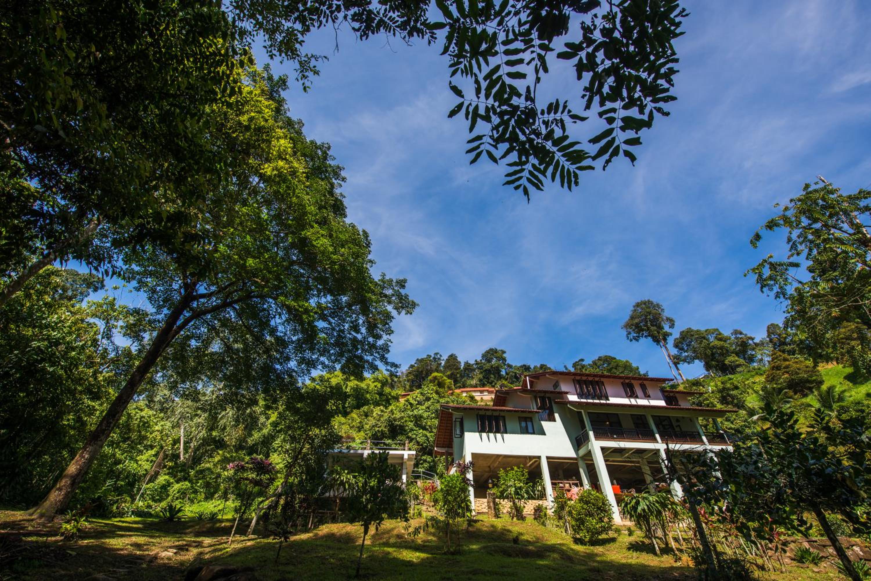 Rest Pause Rainforest Retreat view 5