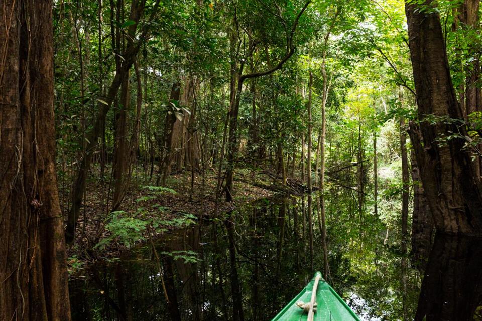 Amazônia ParkSuítes