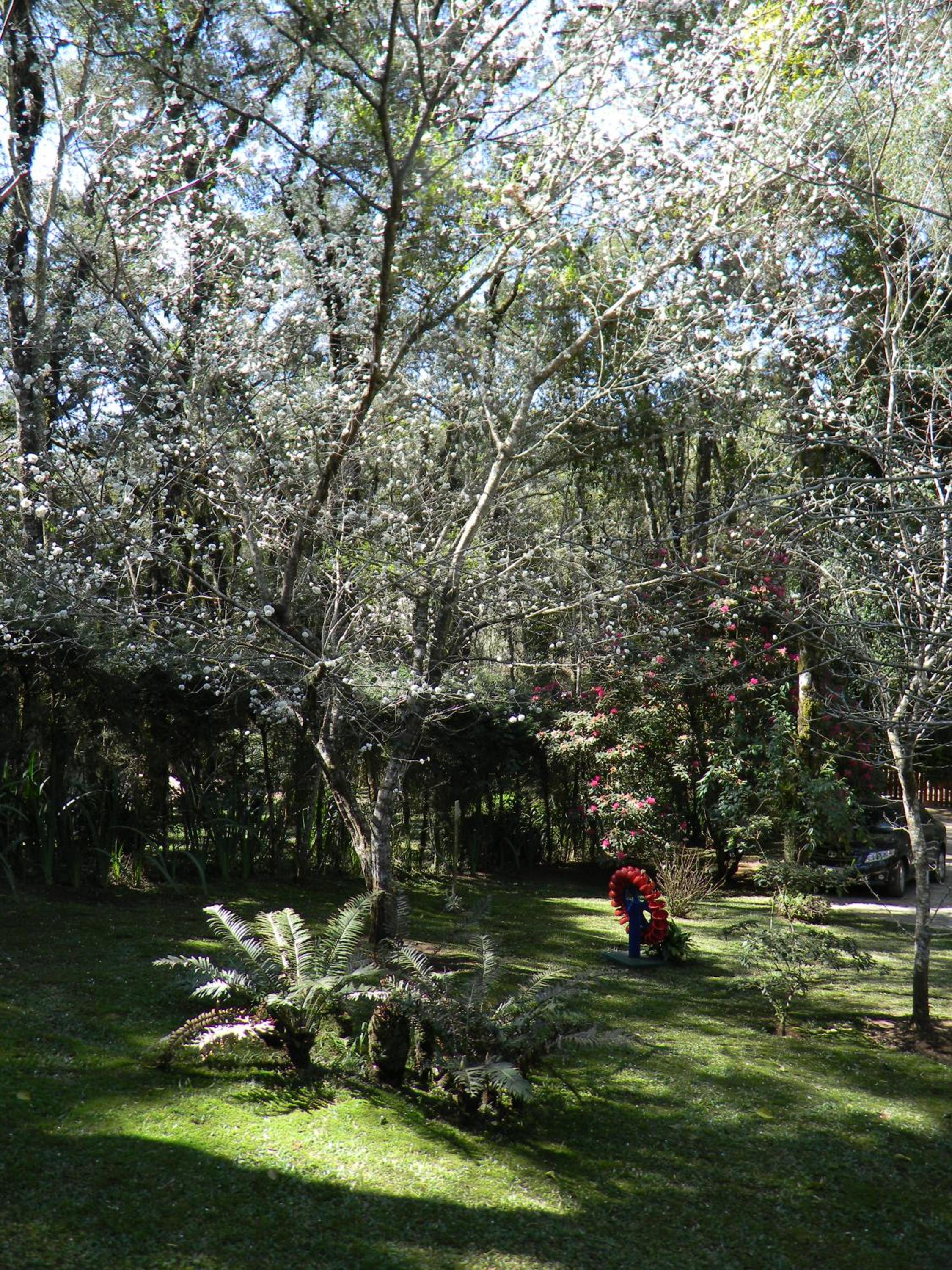 Recanto dos Kerr view 4