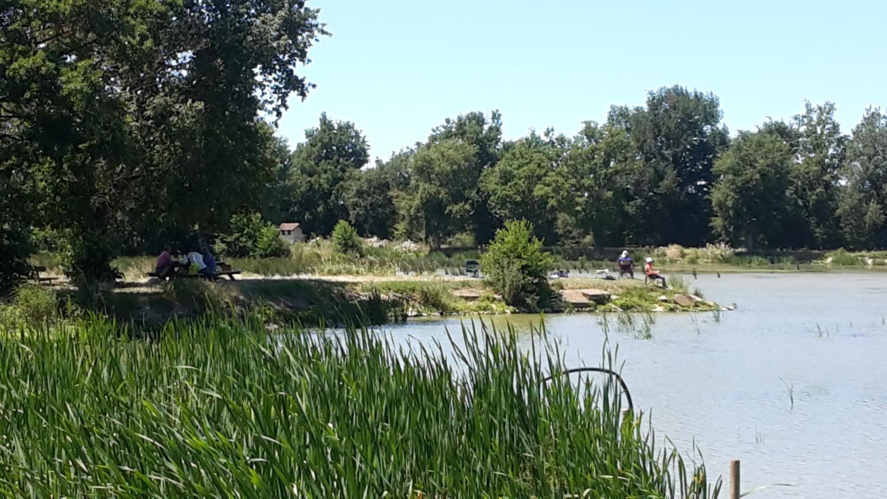 Paradis Des Dombes