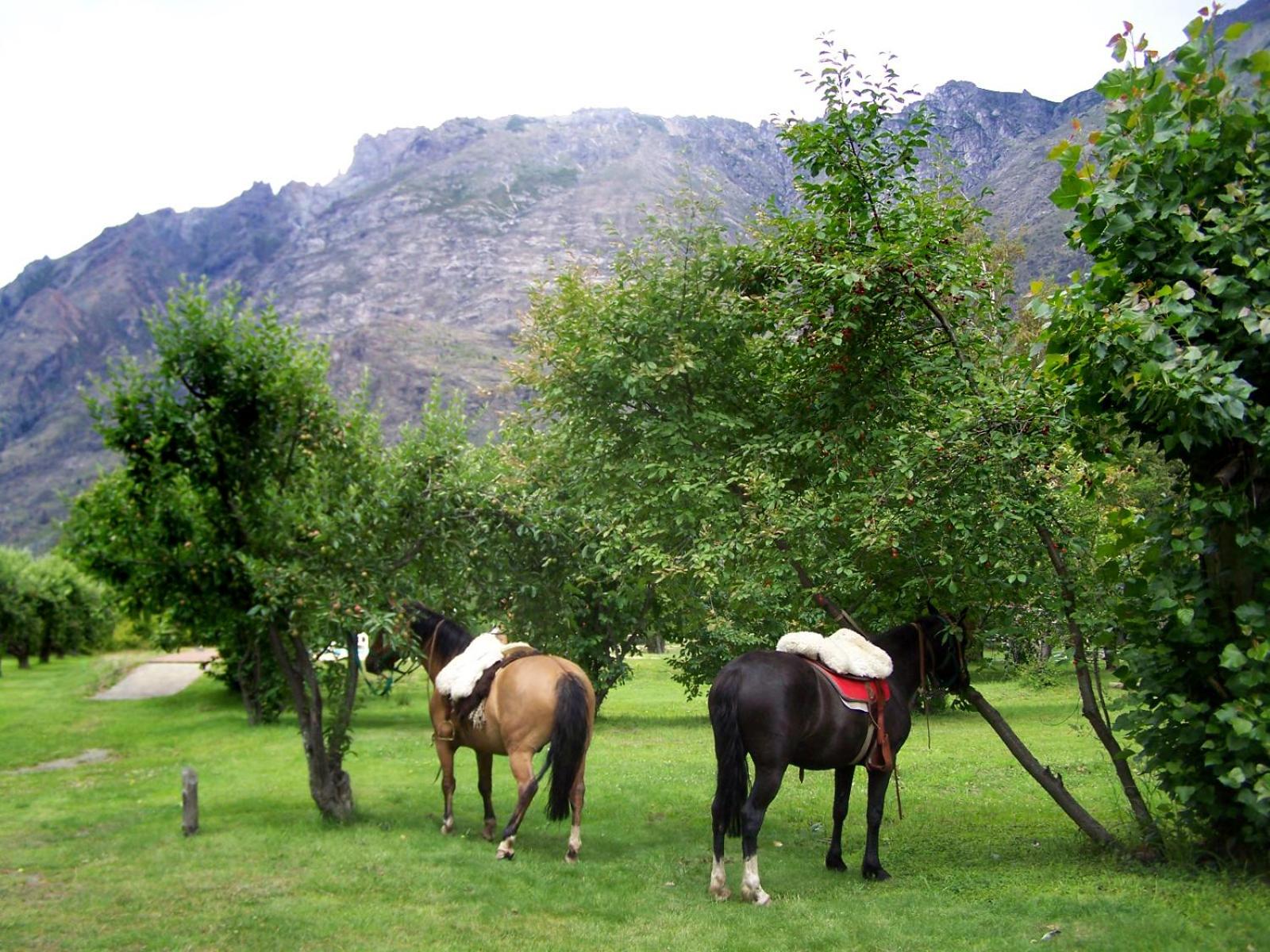 Cabañas y Hosteria Aldea Los Huemules