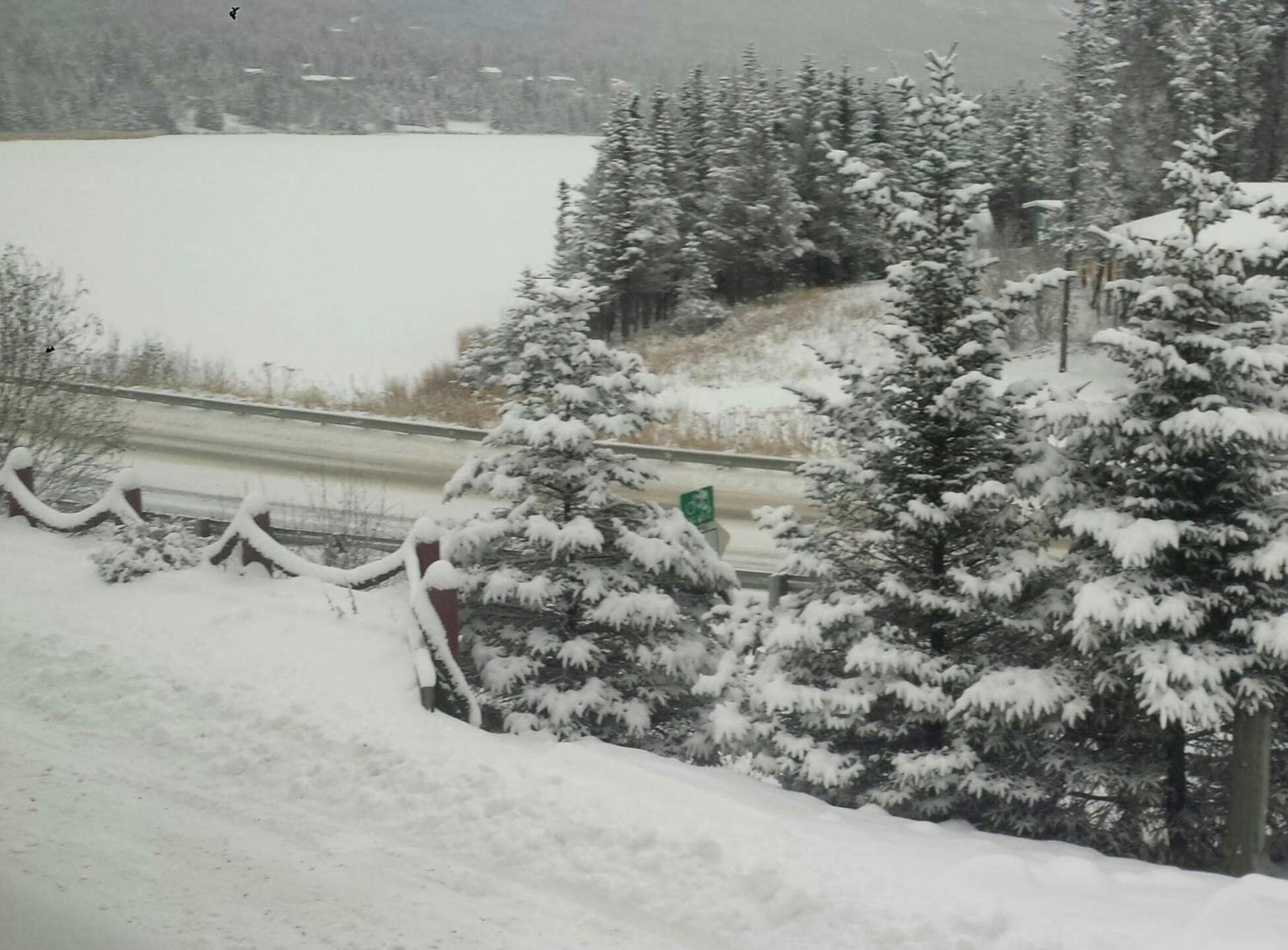 Homer Vacations - Beluga Lake Lodge - Property Image 15