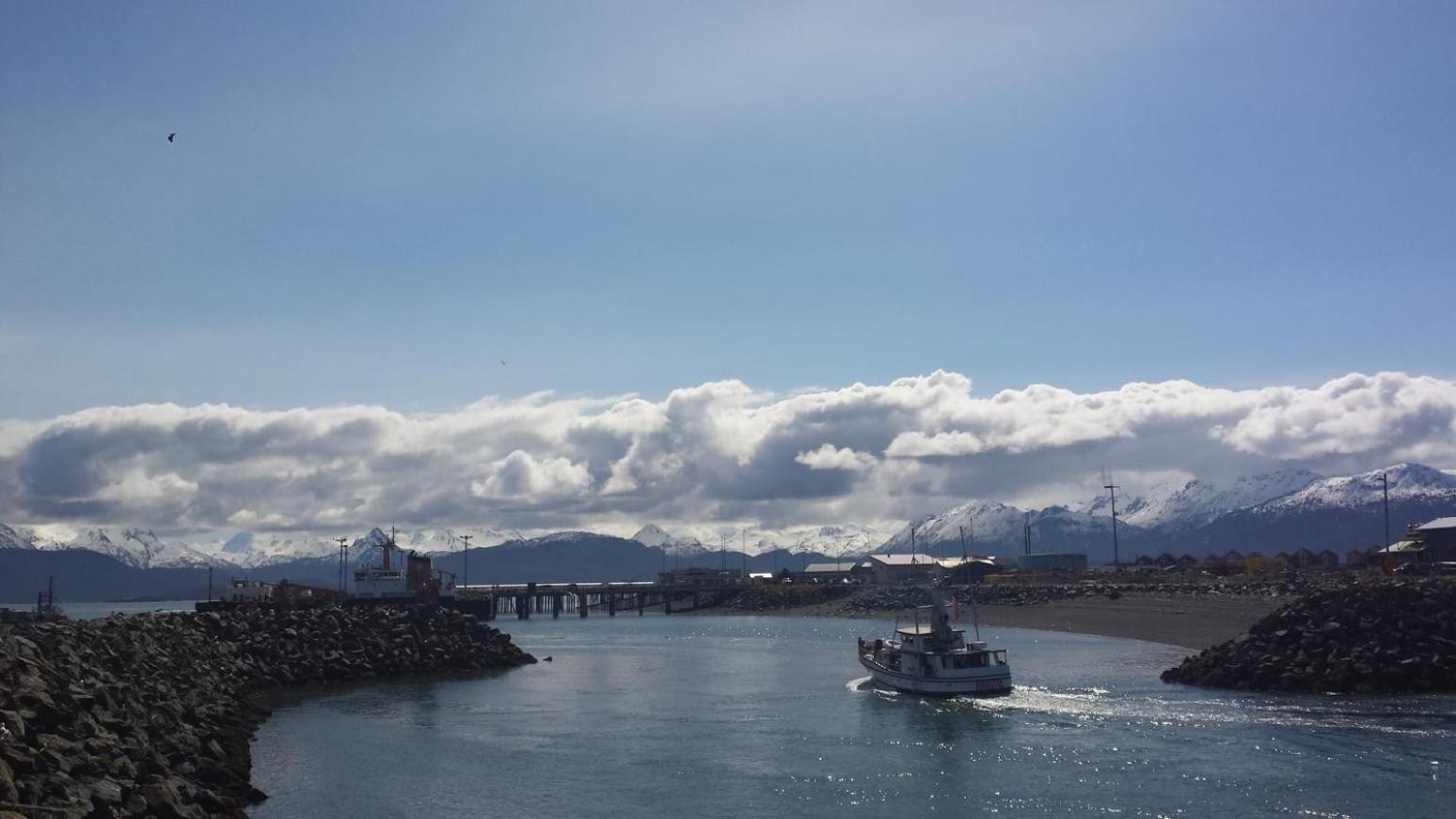 Homer Vacations - Beluga Lake Lodge - Property Image 11