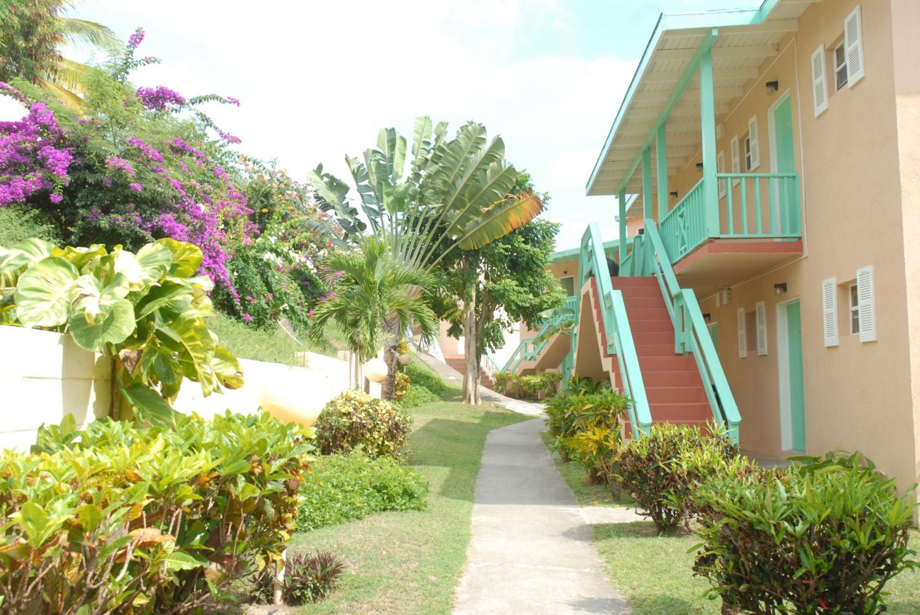 Bird Rock Beach Hotel - Property Image 4