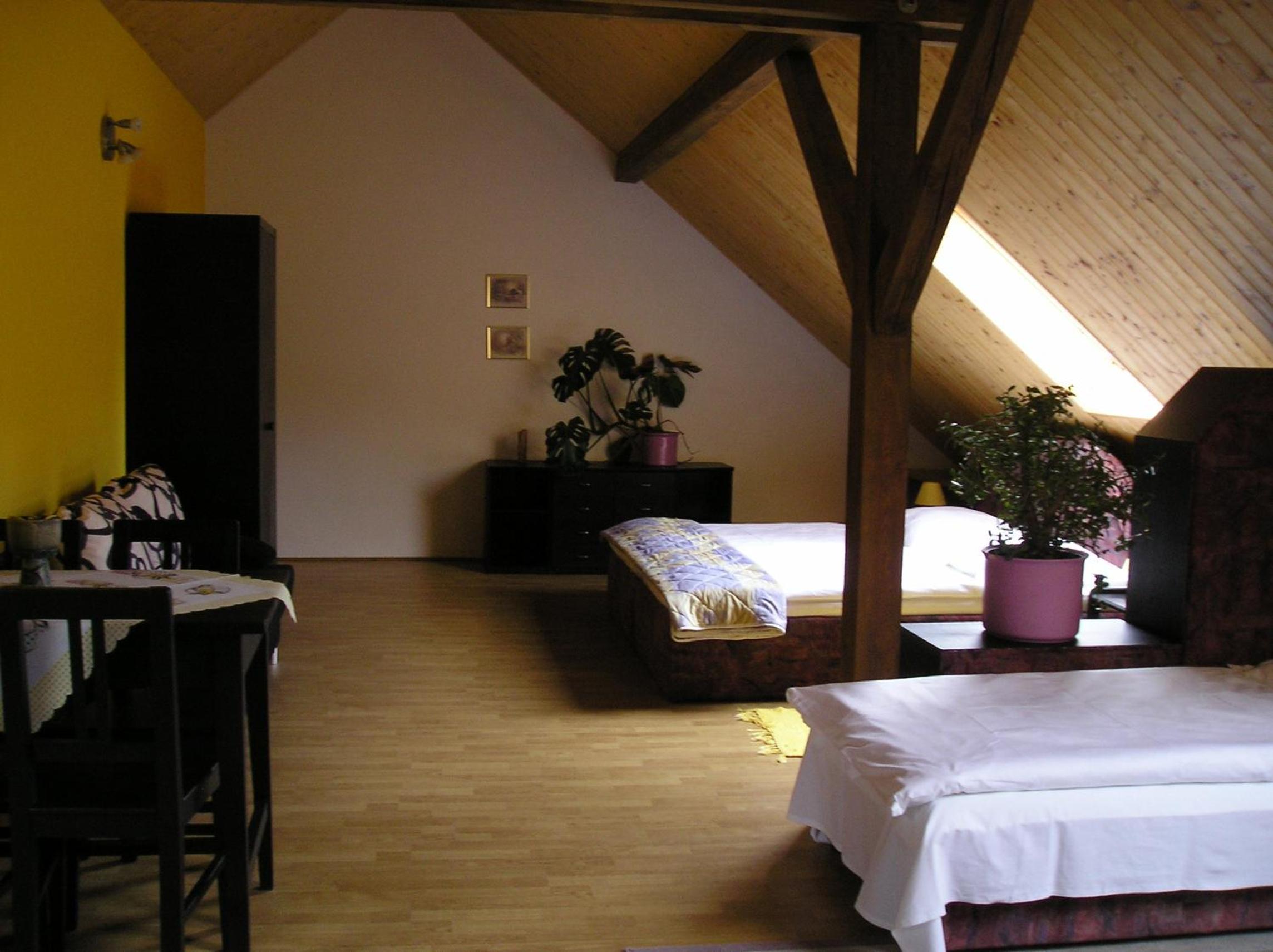 Pension Lažany