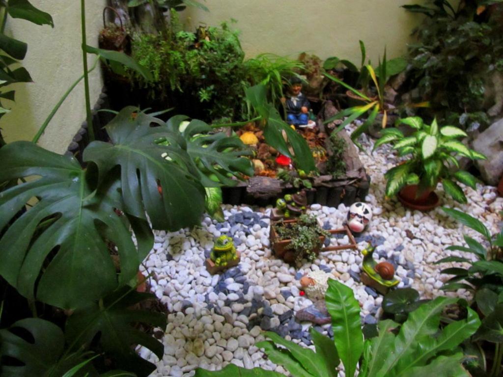 Photo 17