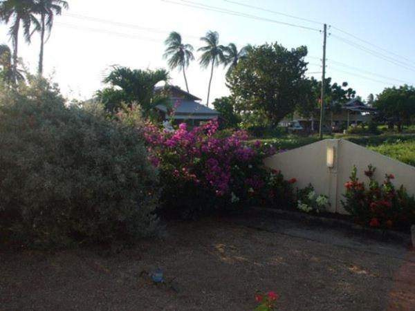 Photo 33