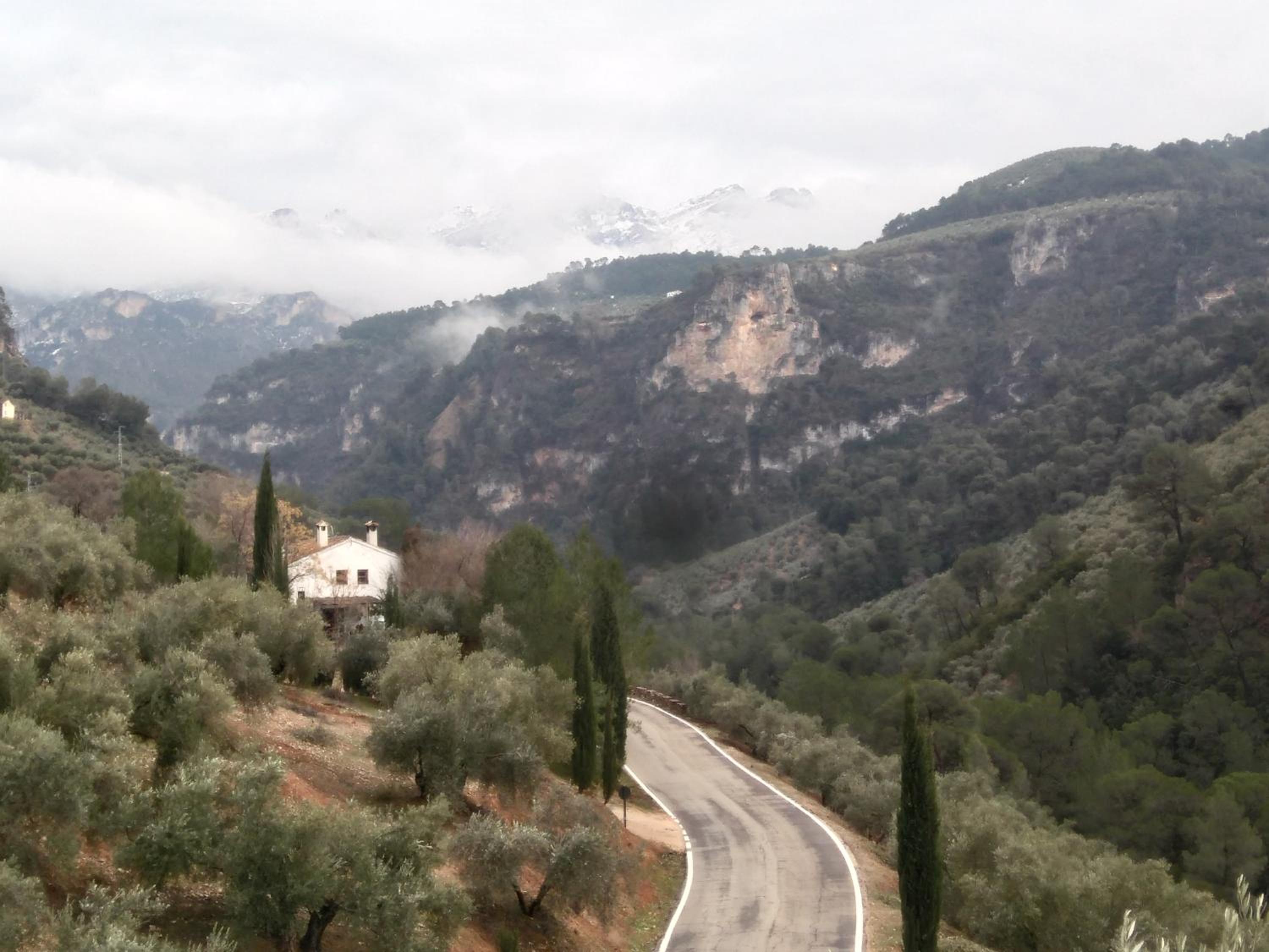 Hotel Cortijo el Nolo - Image 1