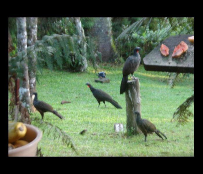 Pousada Villa do Luar