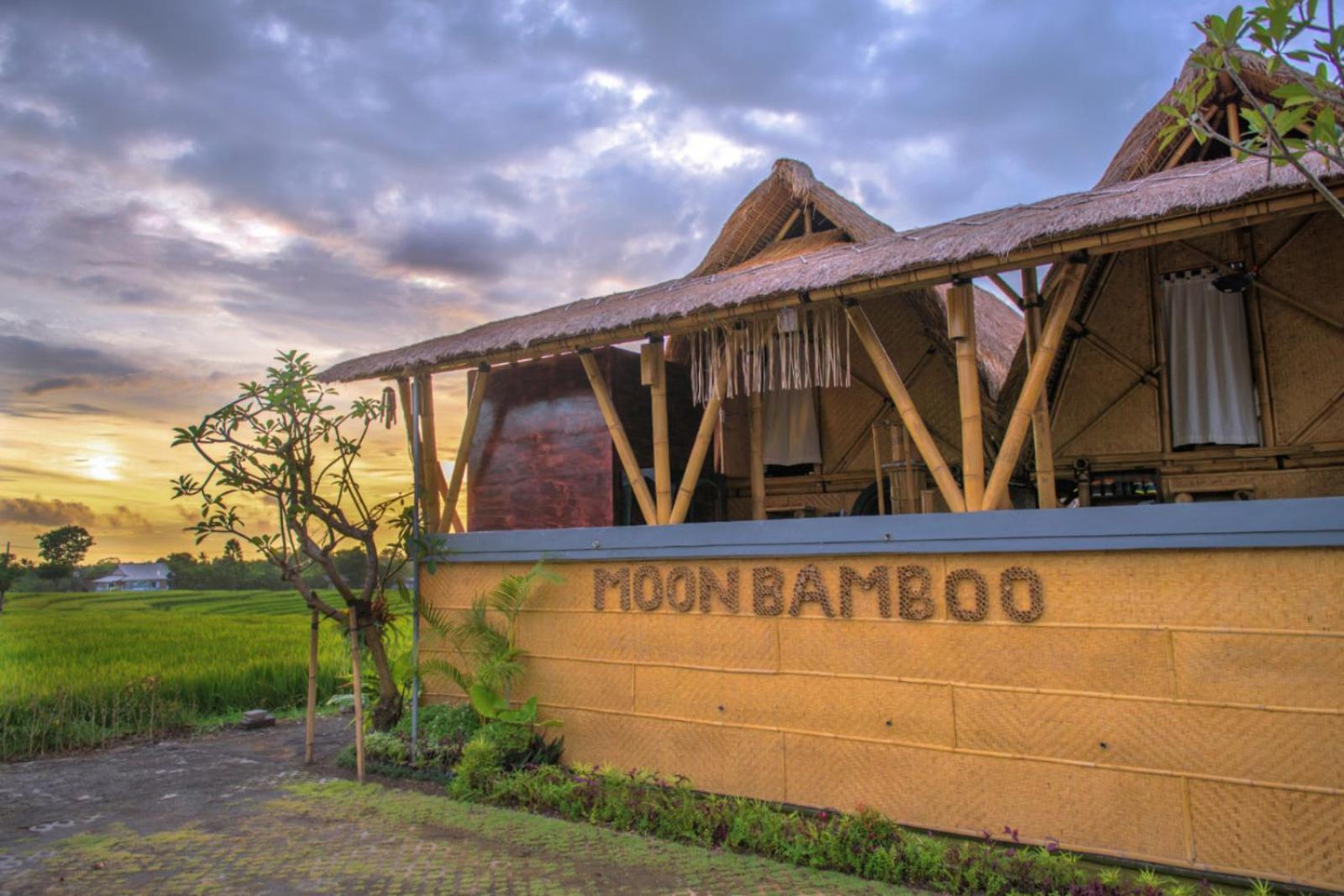 Moon Bamboo