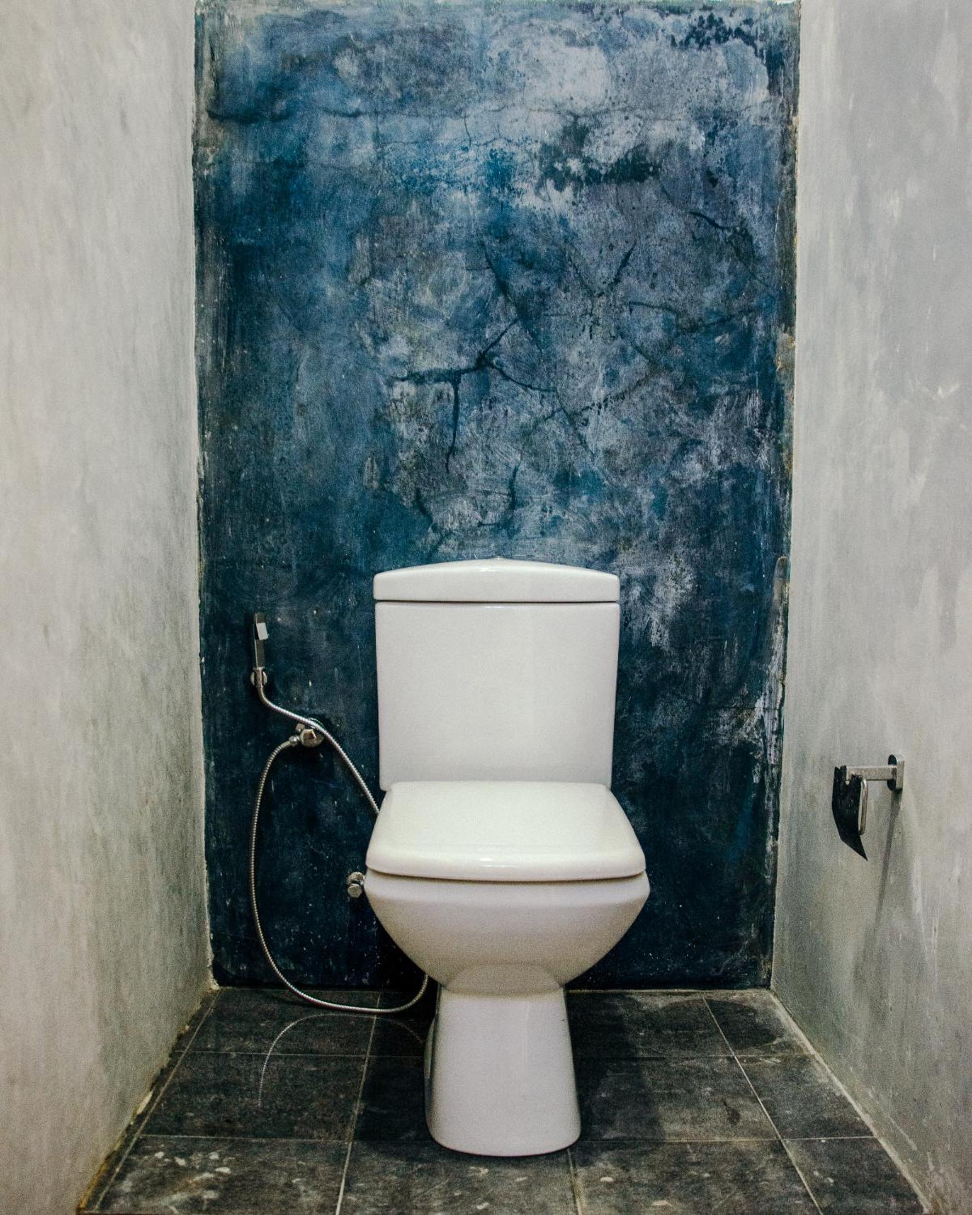 Photo 45