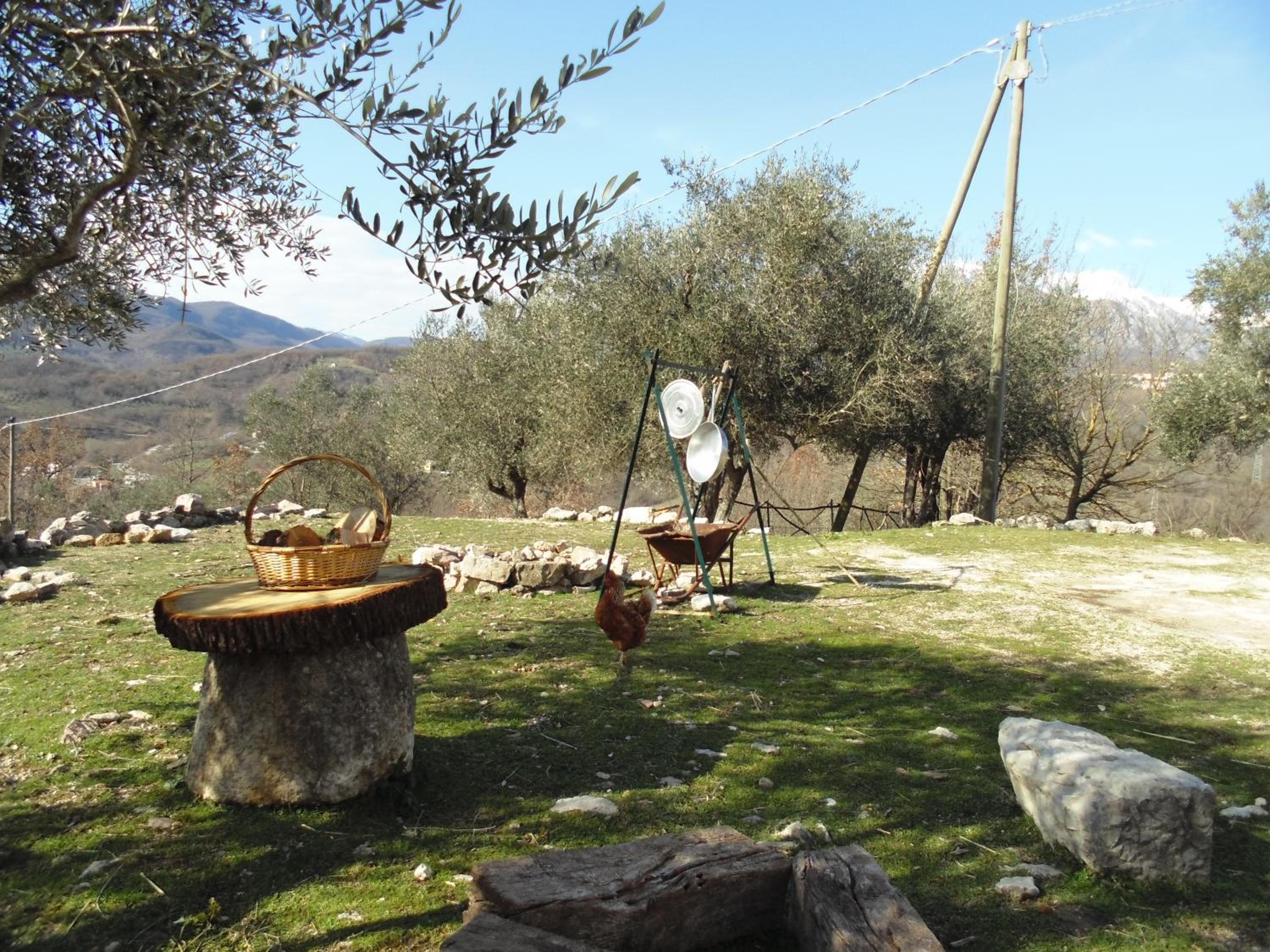 Photo 6
