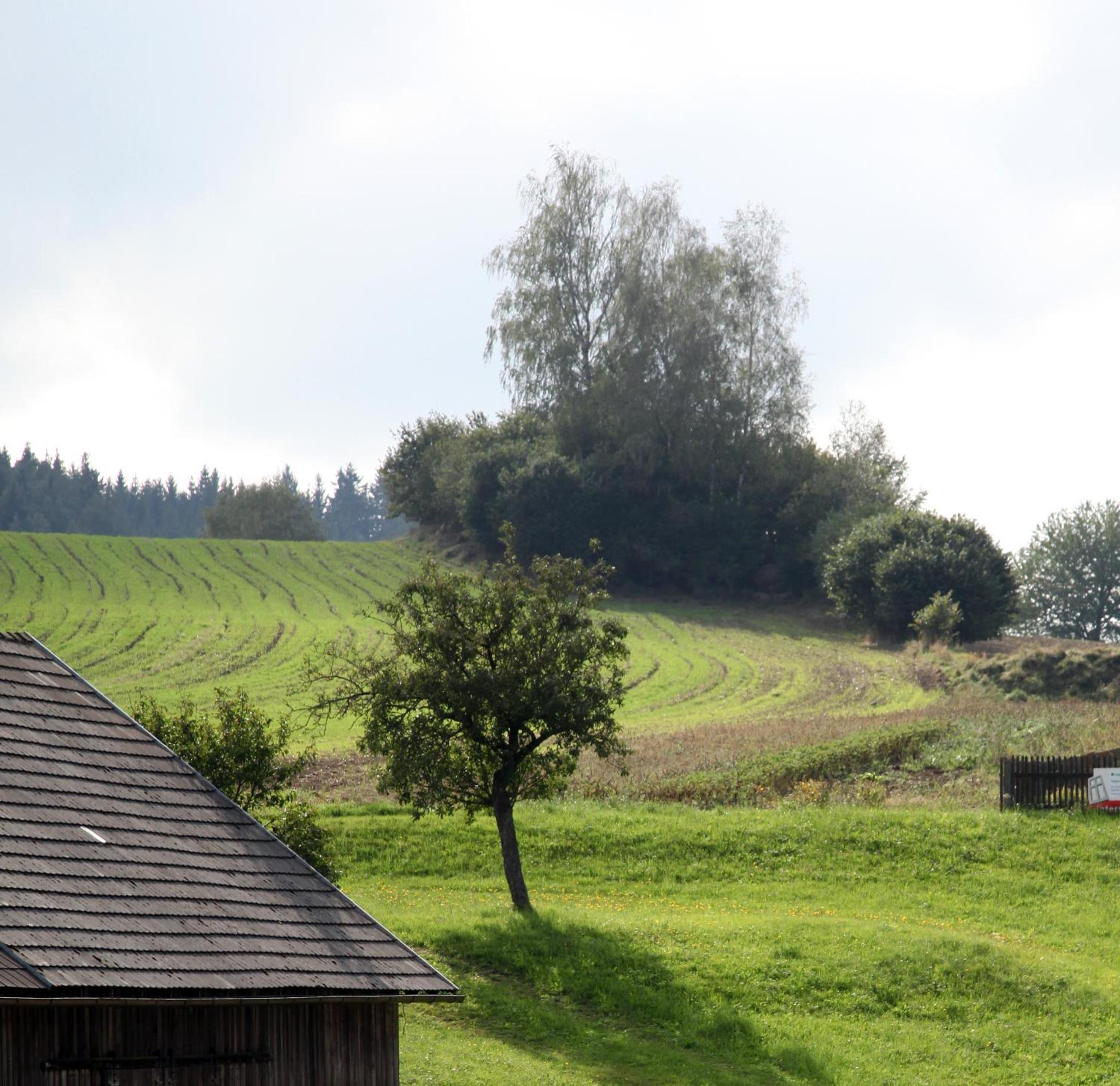 Ferienhof Stanzl