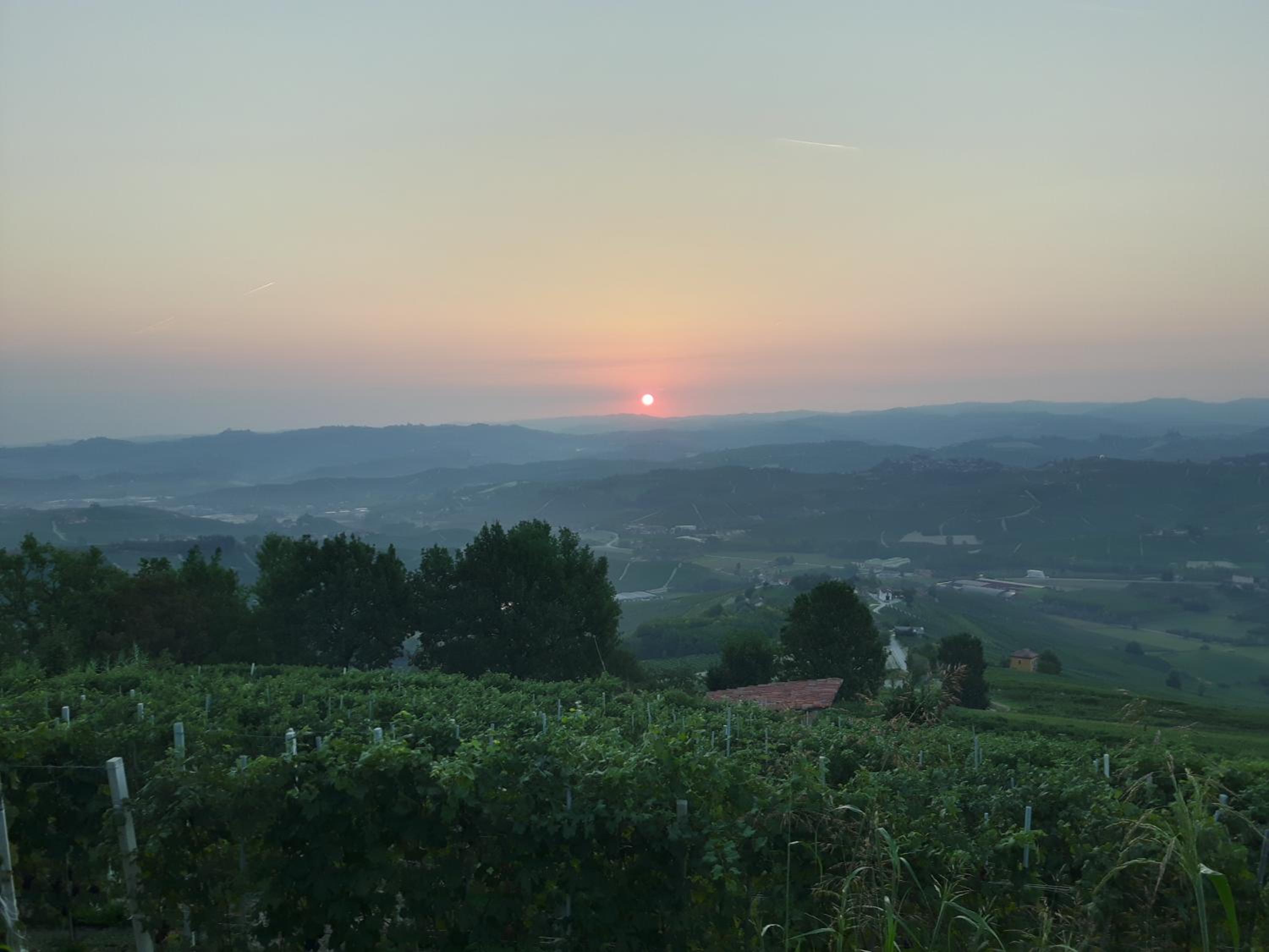 B&B Fior Di Farine