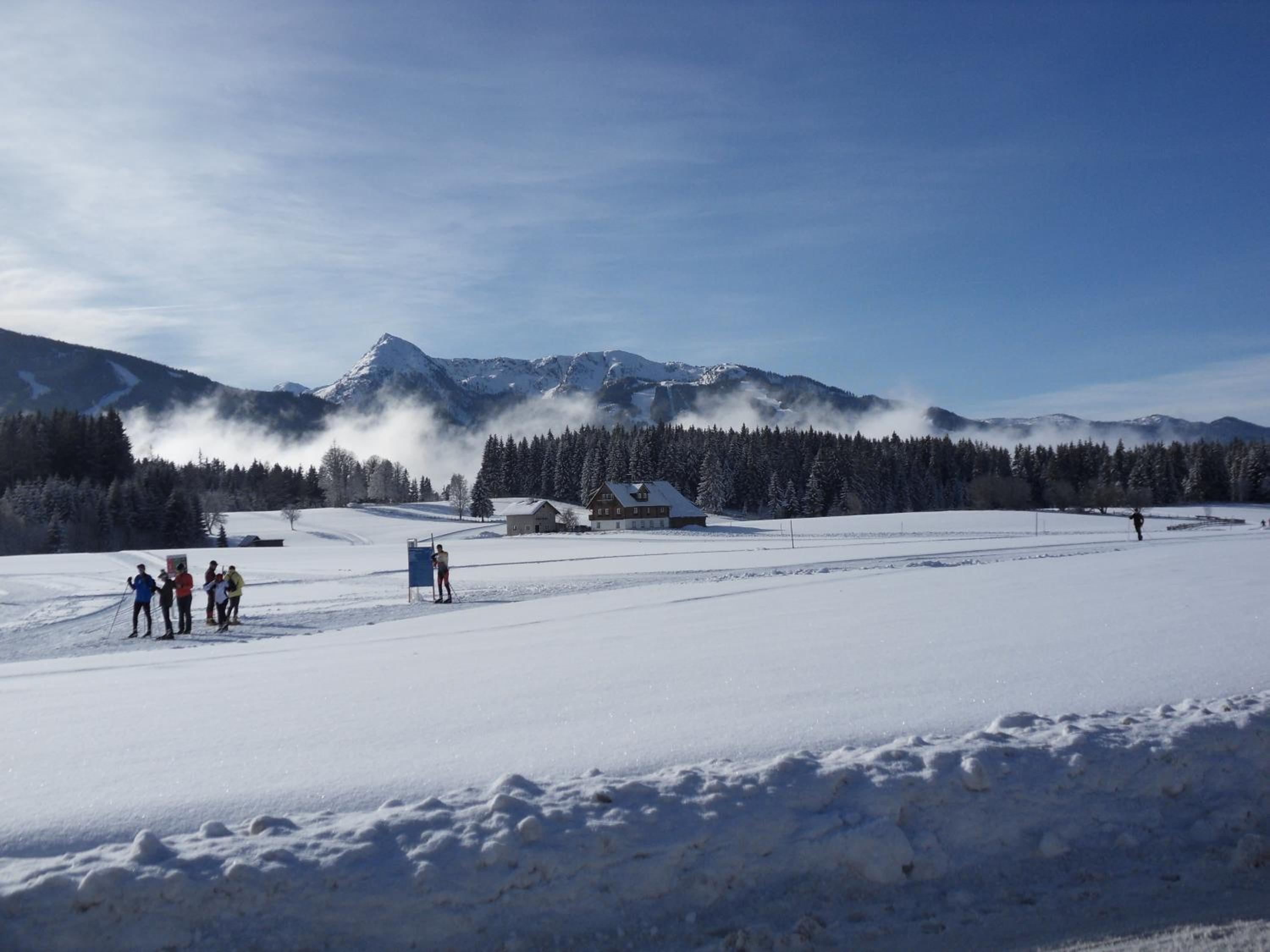 Photo 42