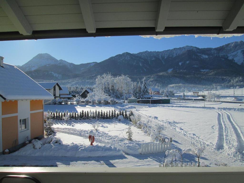 Apartments Steger
