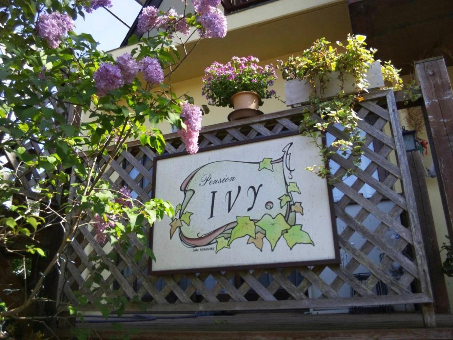 Pension Ivy view 2