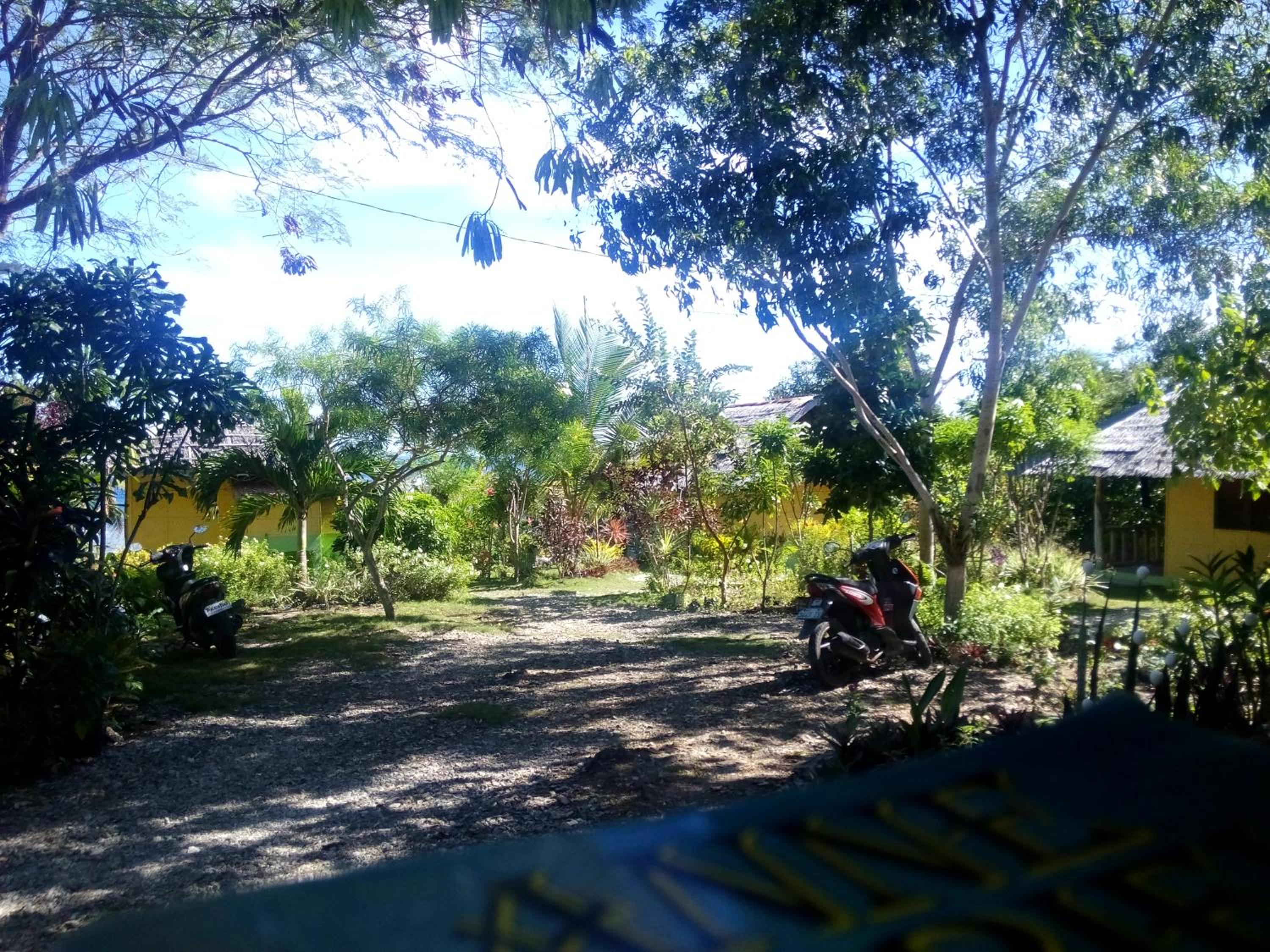 Photo 25