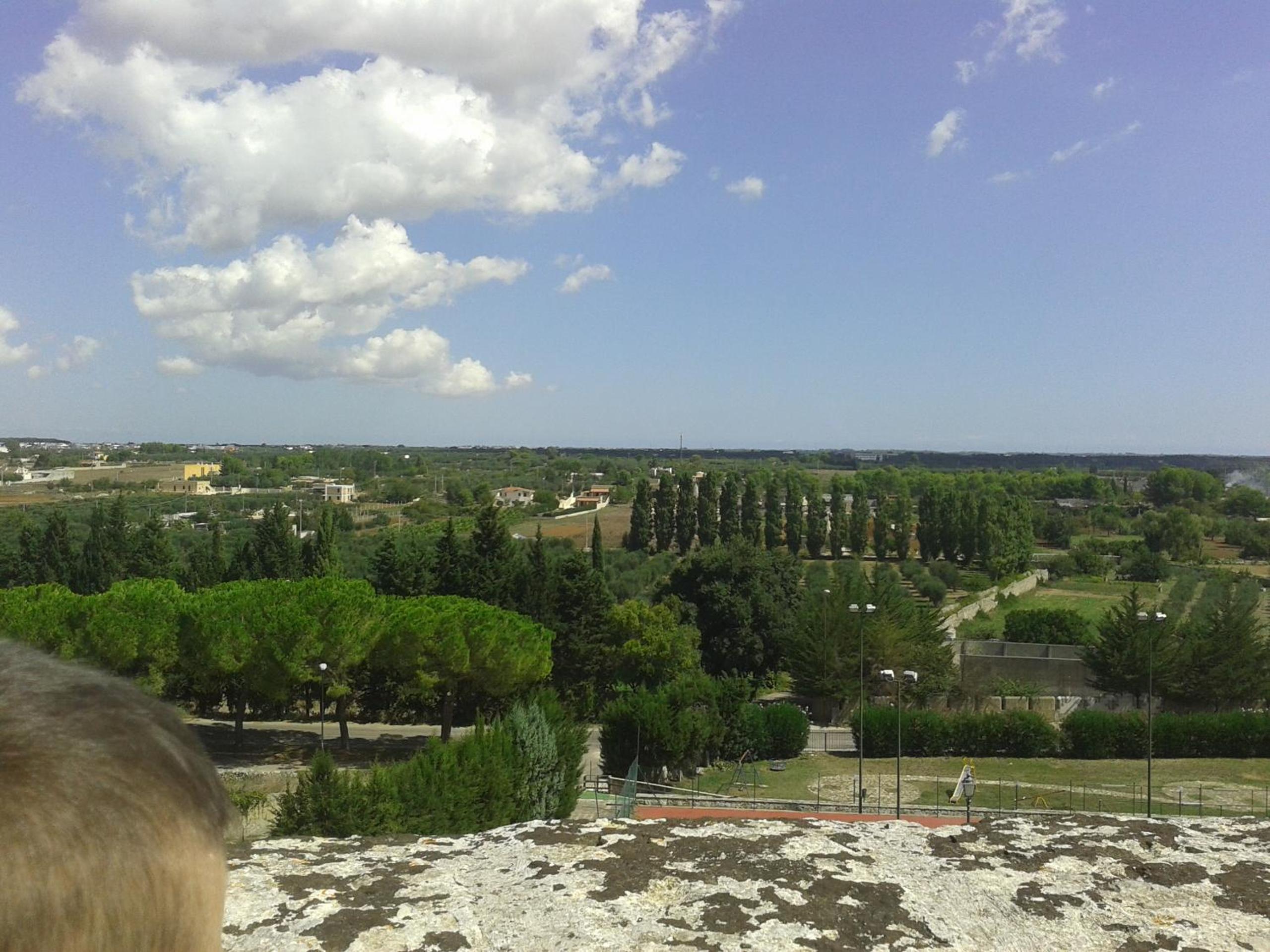 Photo 40