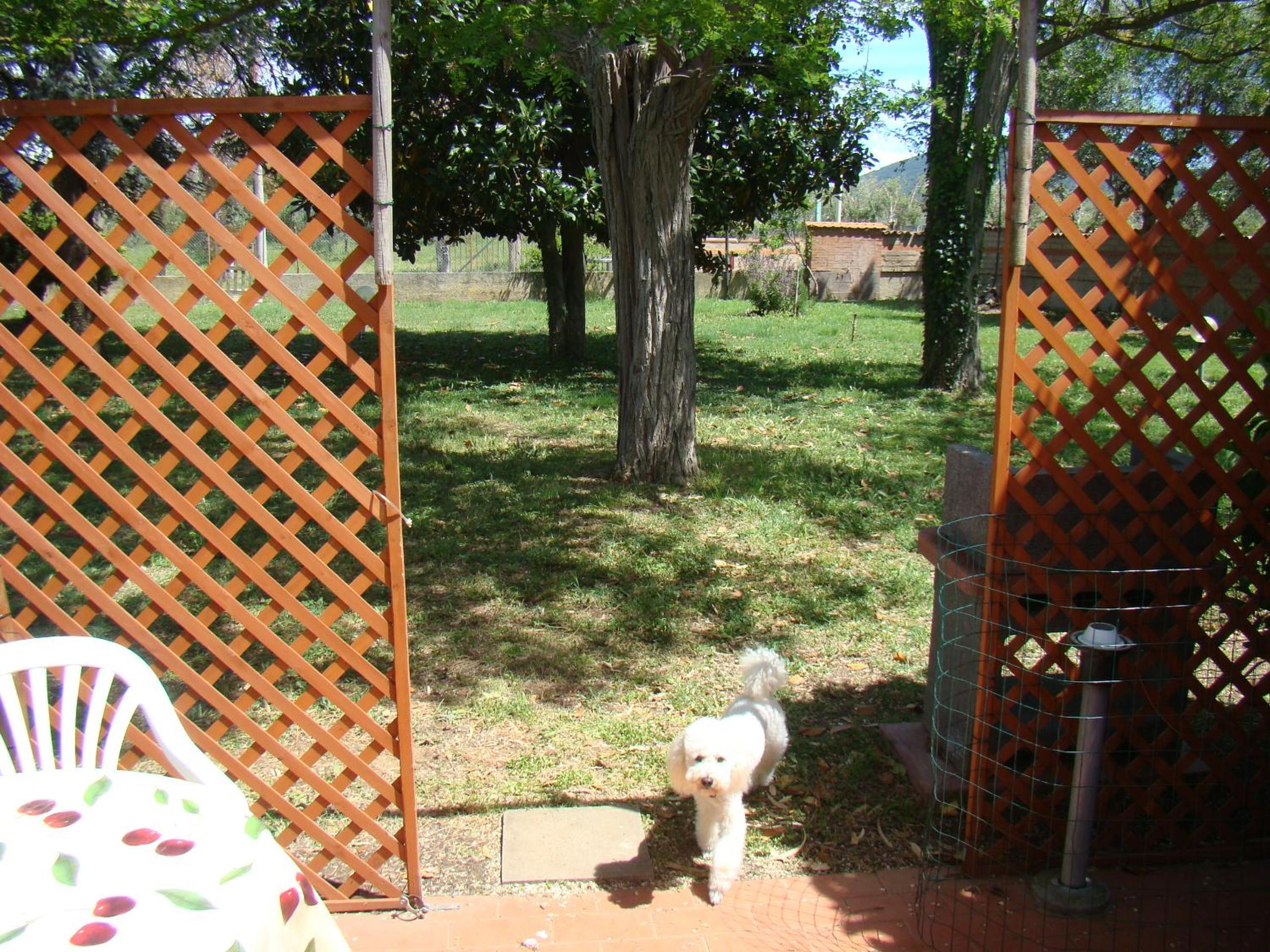 Photo 56