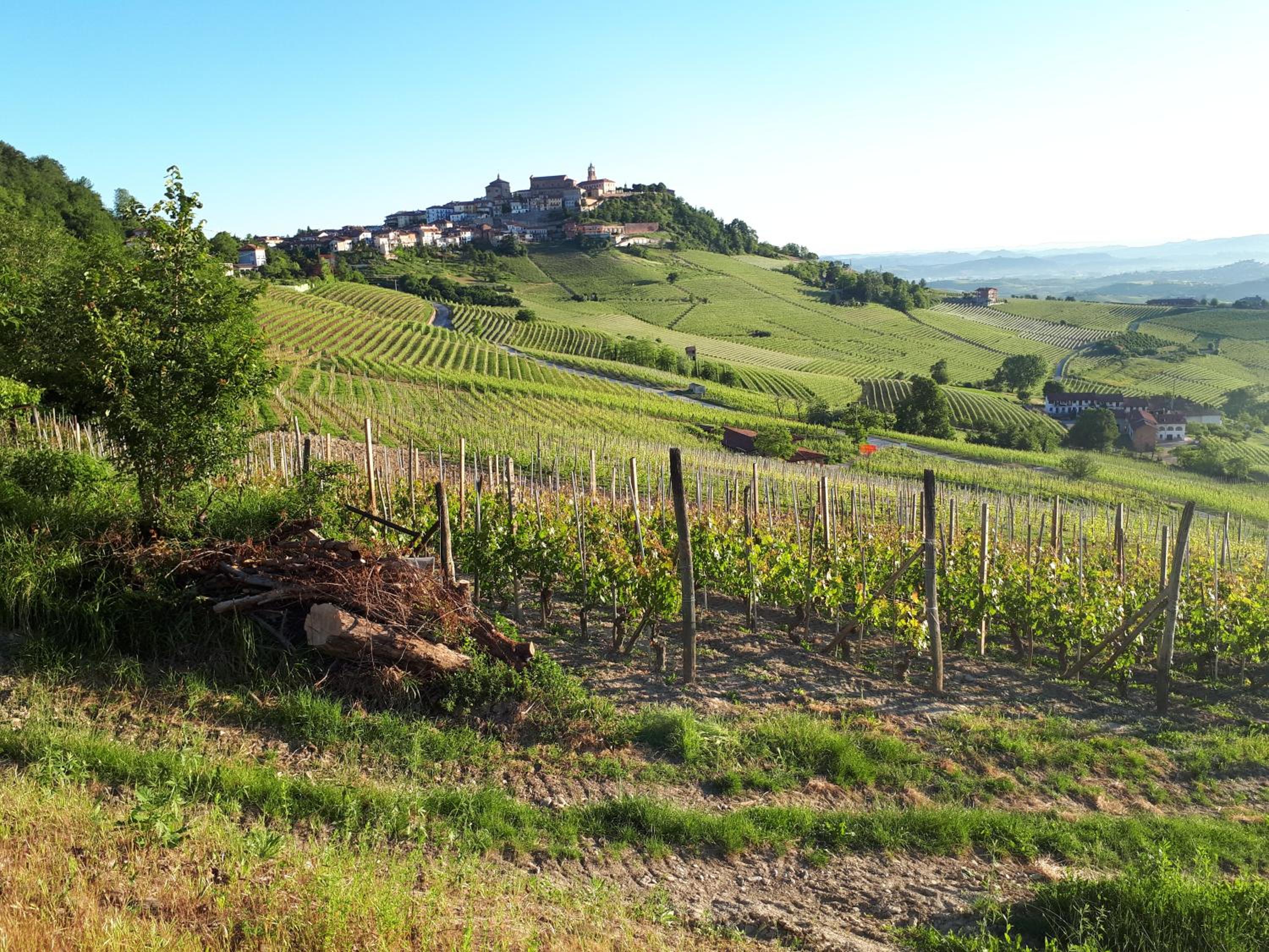 B&B Fior Di Farine