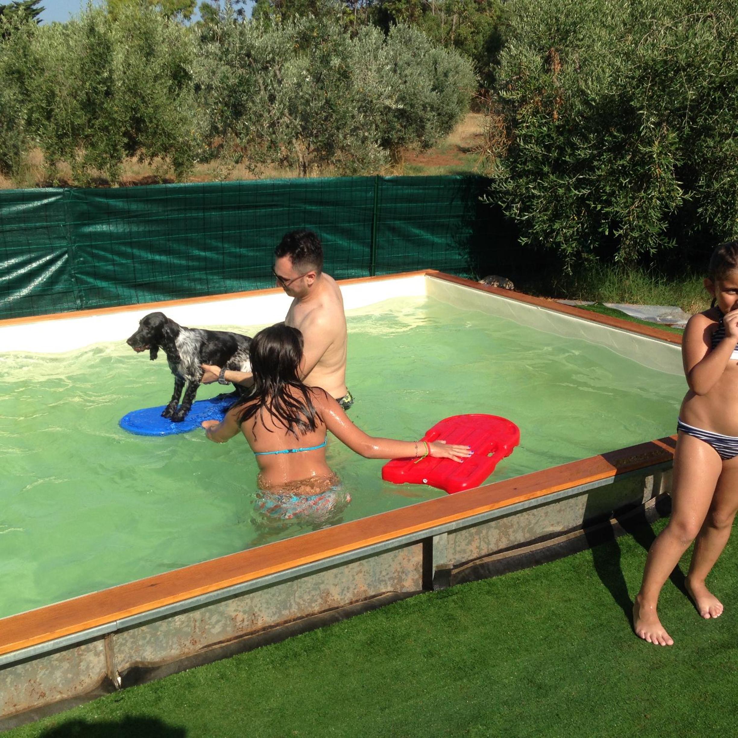 Photo 52