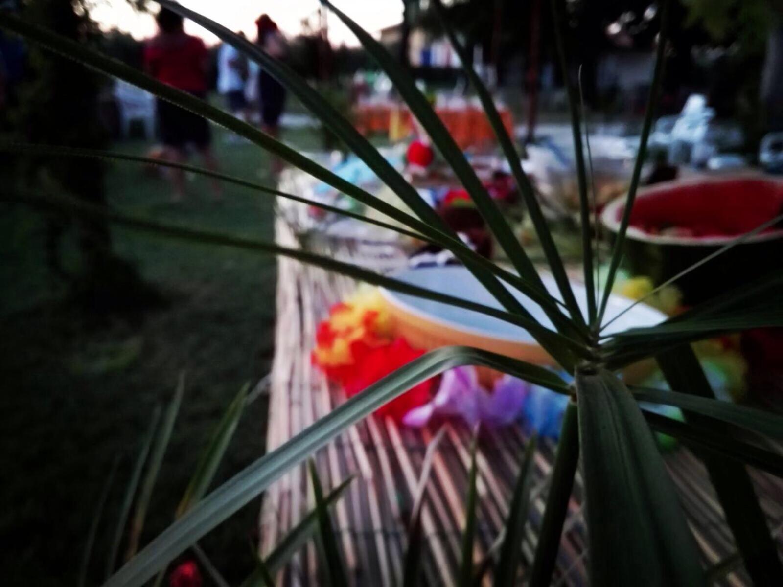 Photo 48