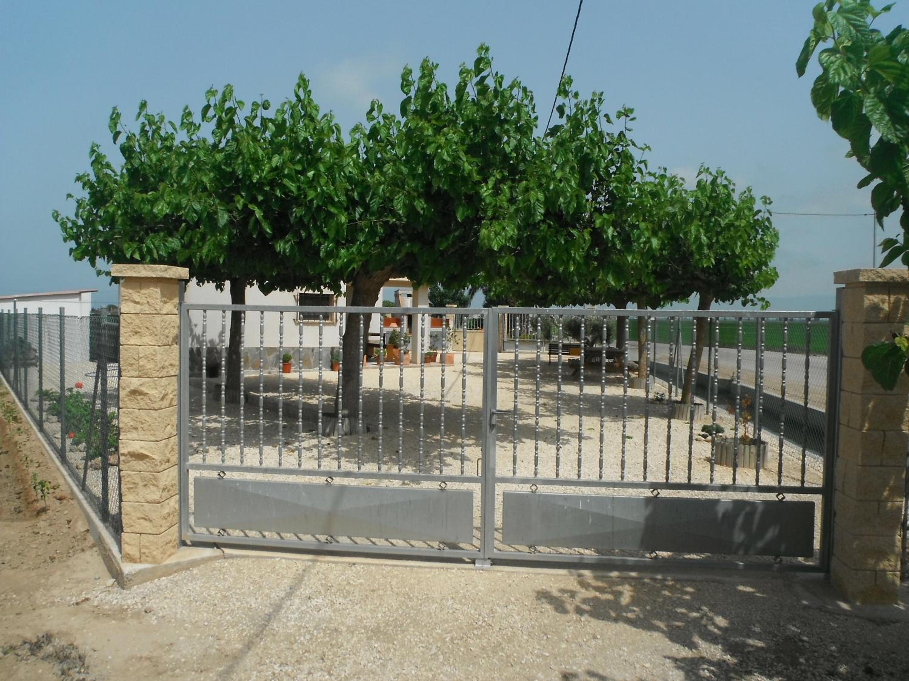 Photo 44