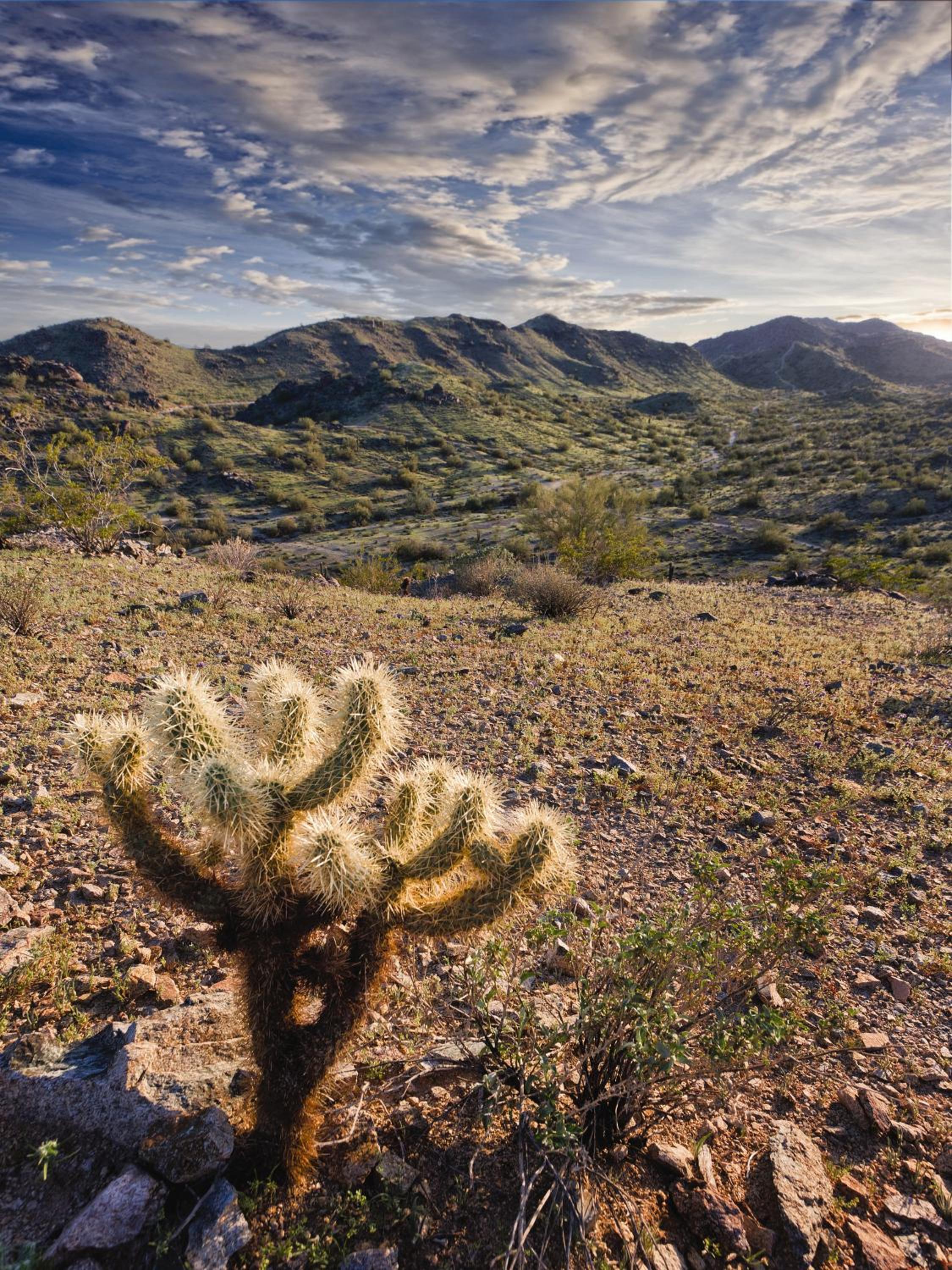 WorldMark Phoenix - South Mountain Preserve