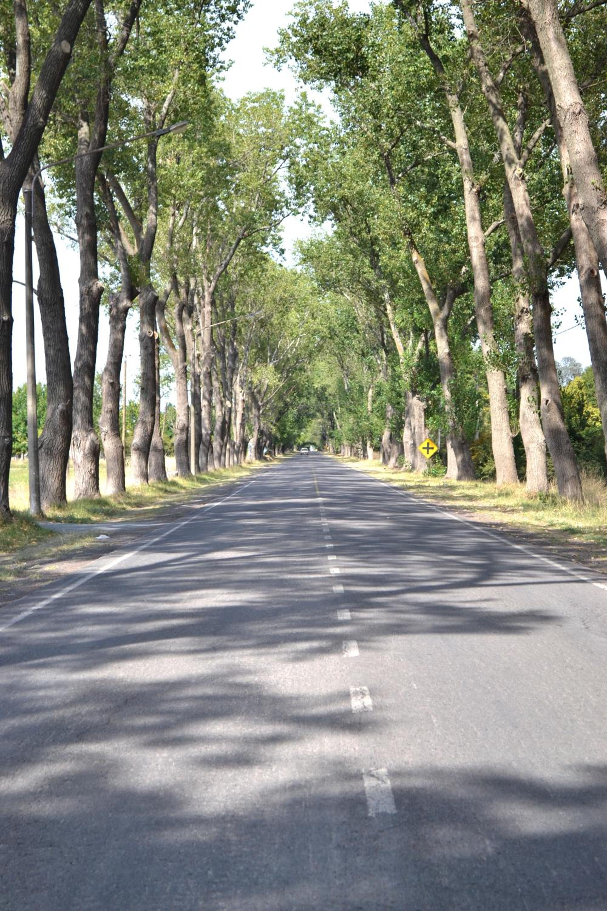 Rincón del Alma