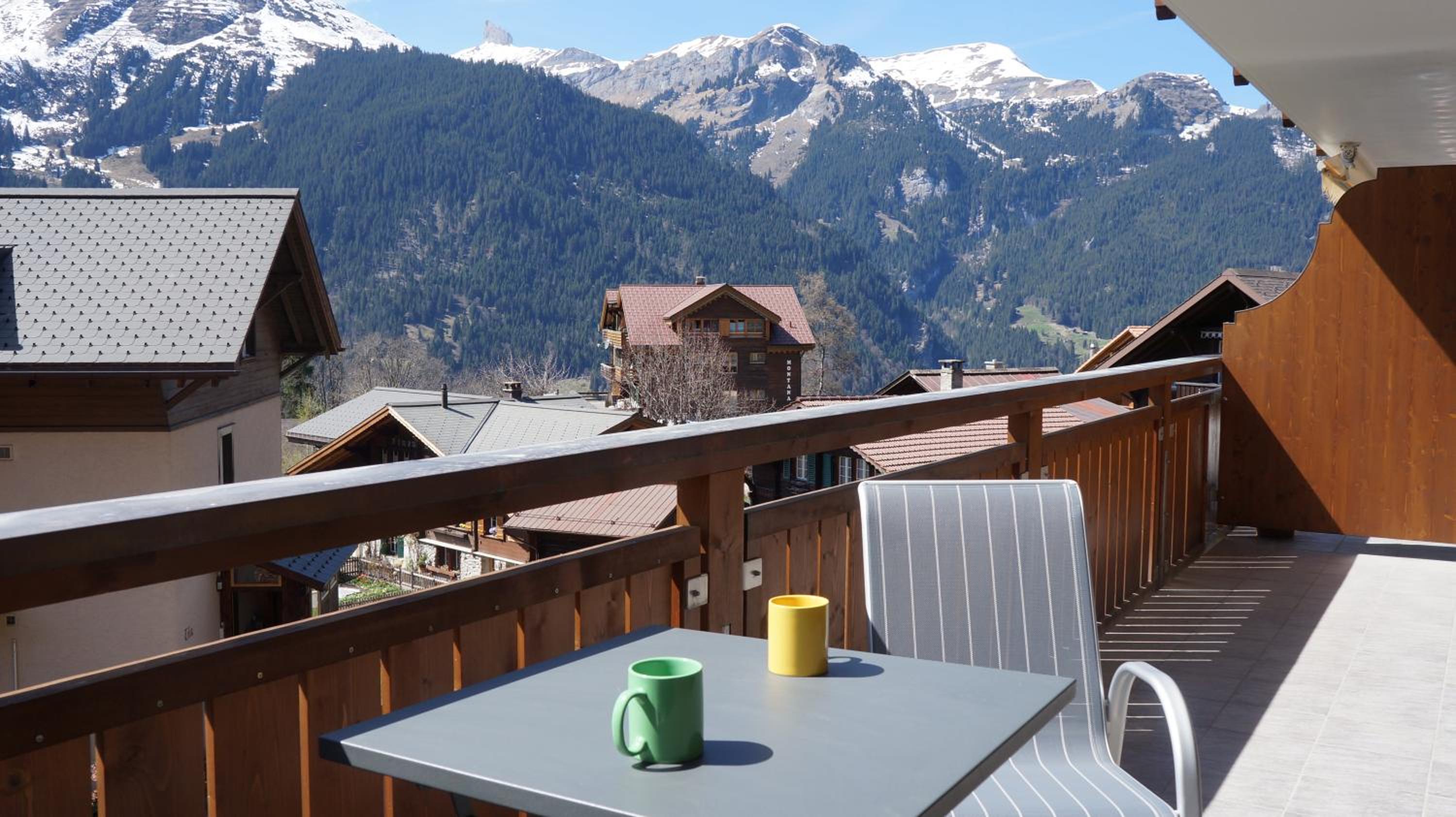 Chalet Bella Vista 3