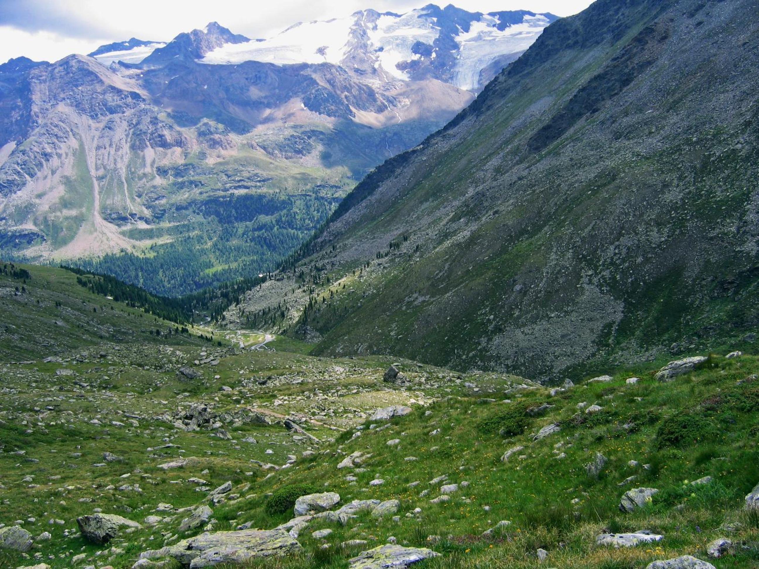 Photo 48