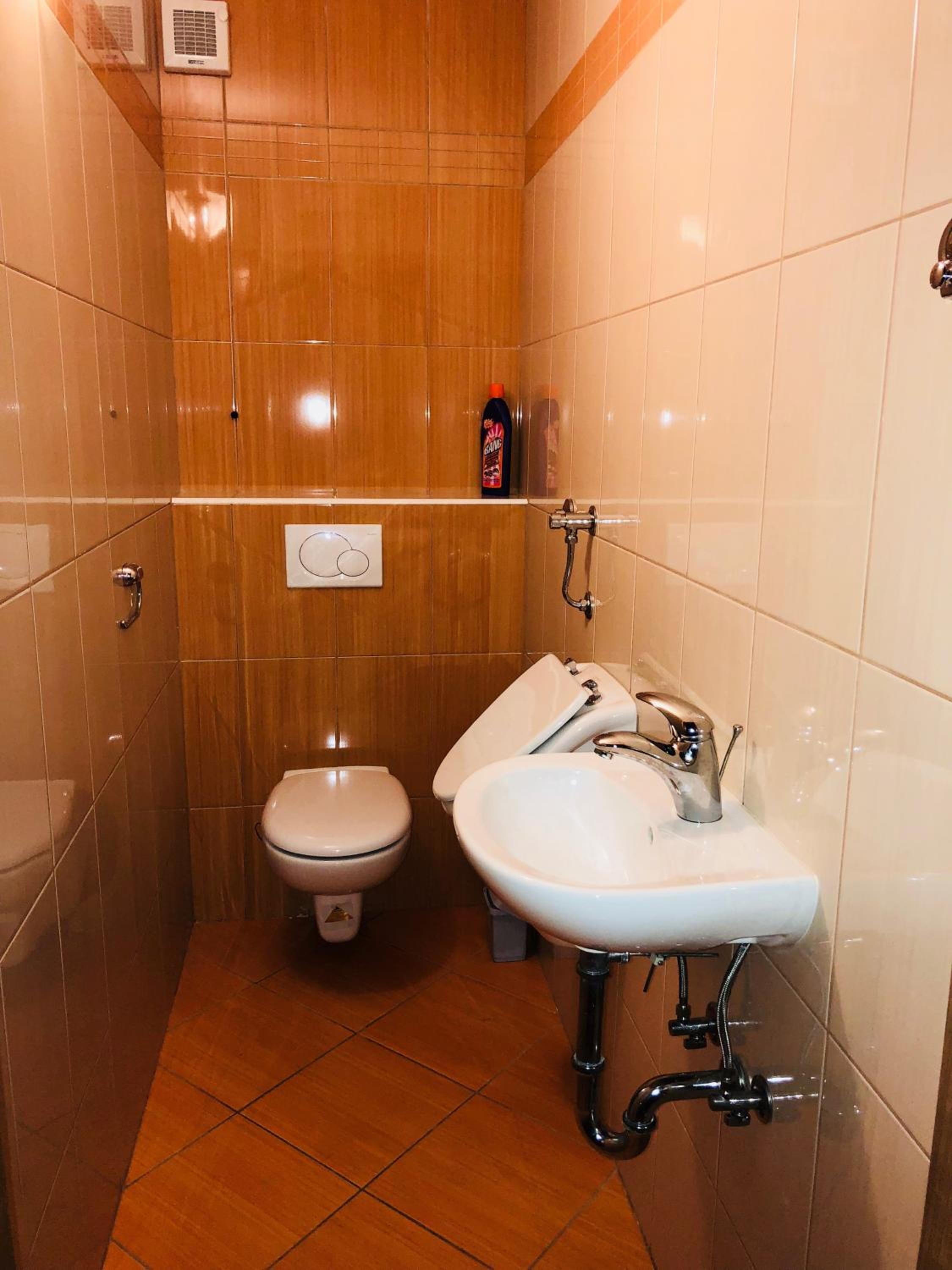 Apartmaji Zlata Lisička view 5