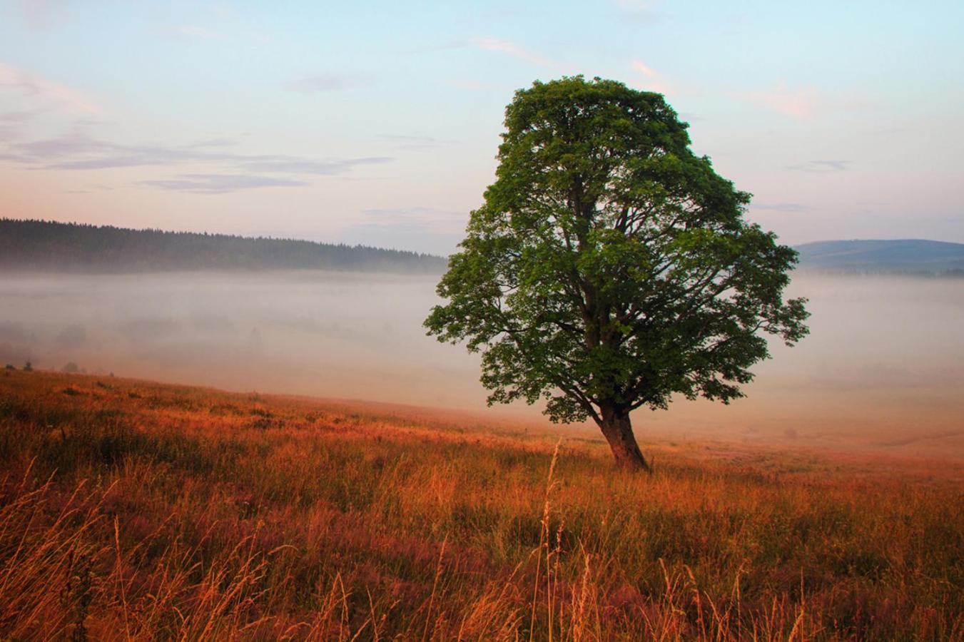 Statek česká lípa Myslovice