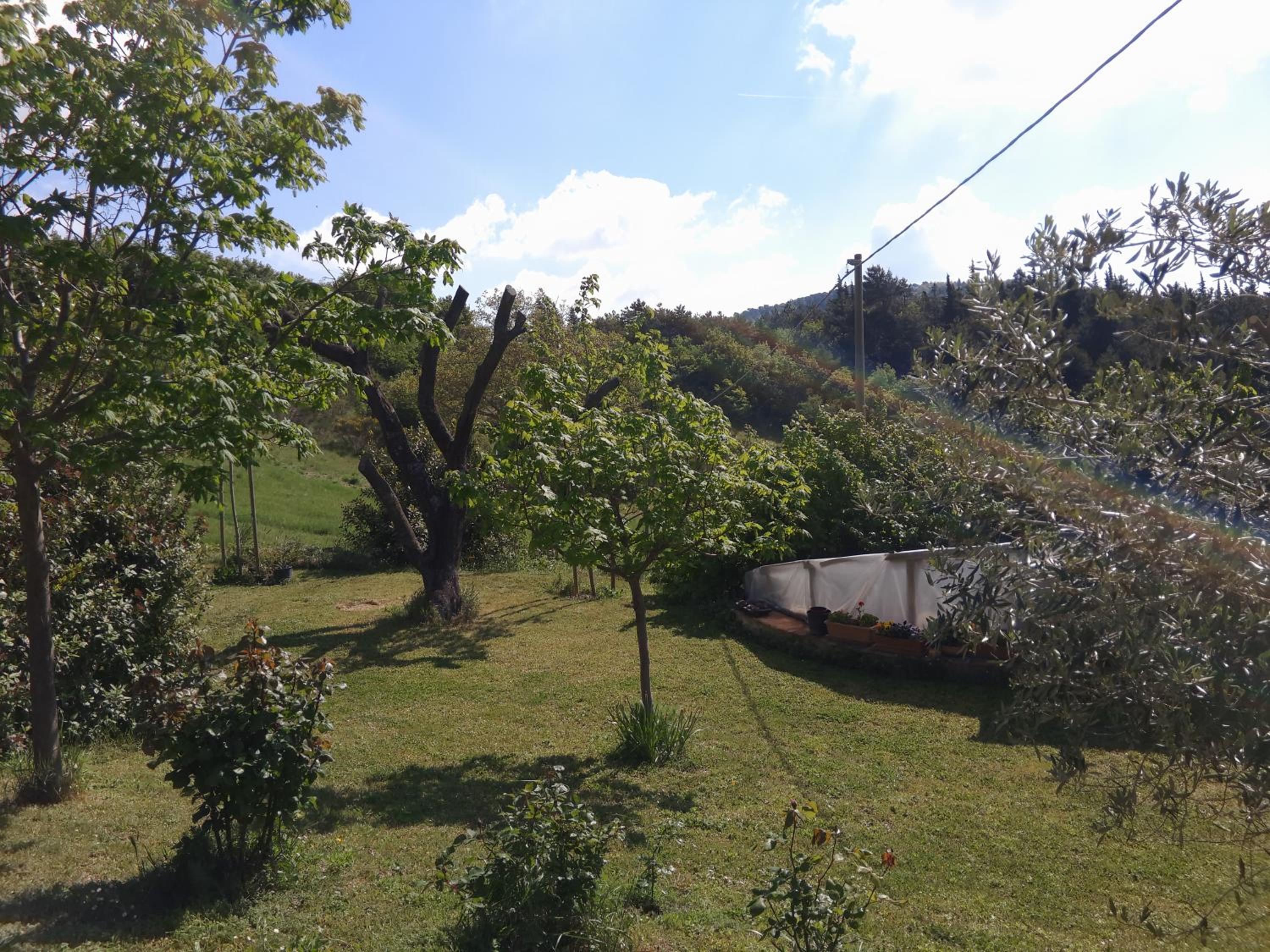 B&B Bosimano