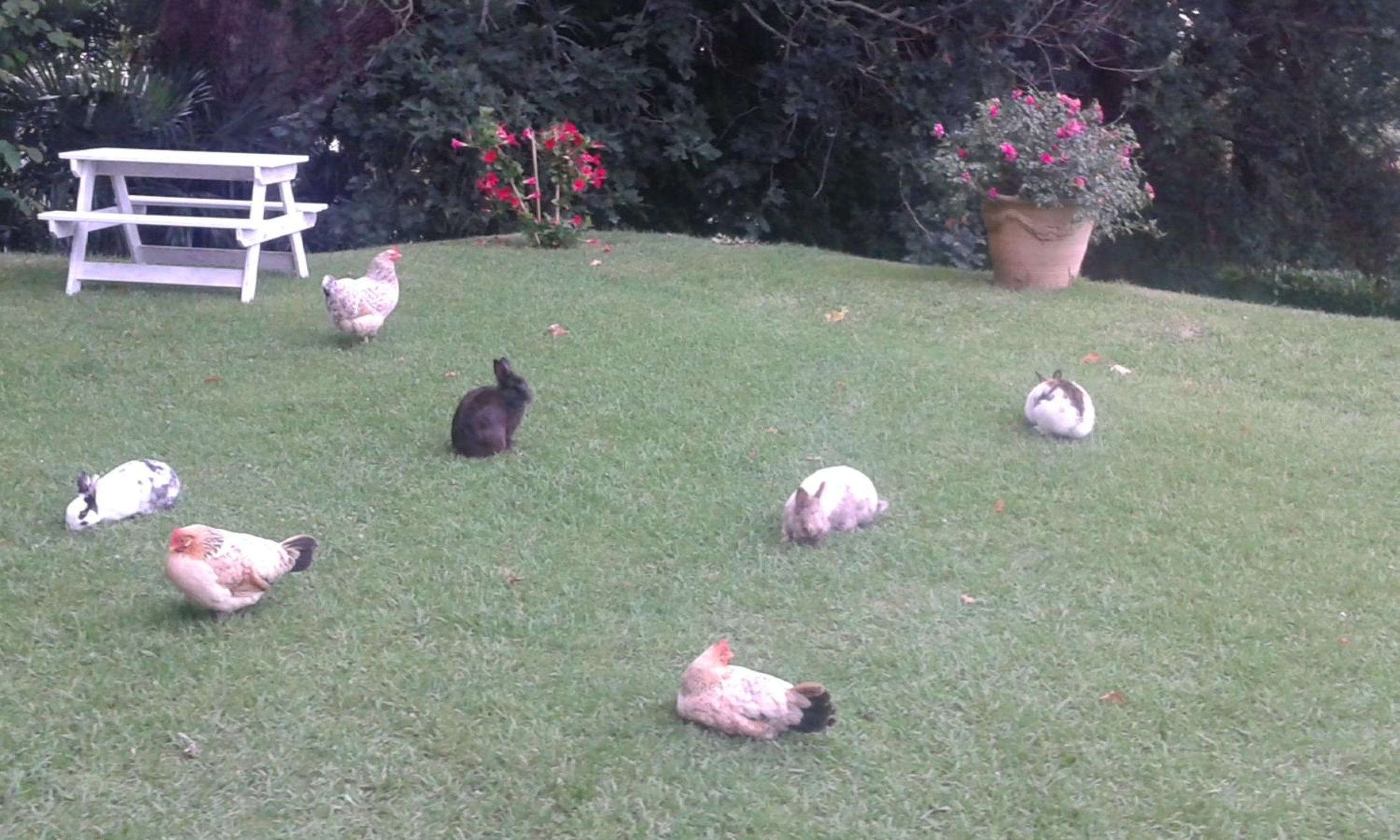 Villa La Croix Basque, photo 40