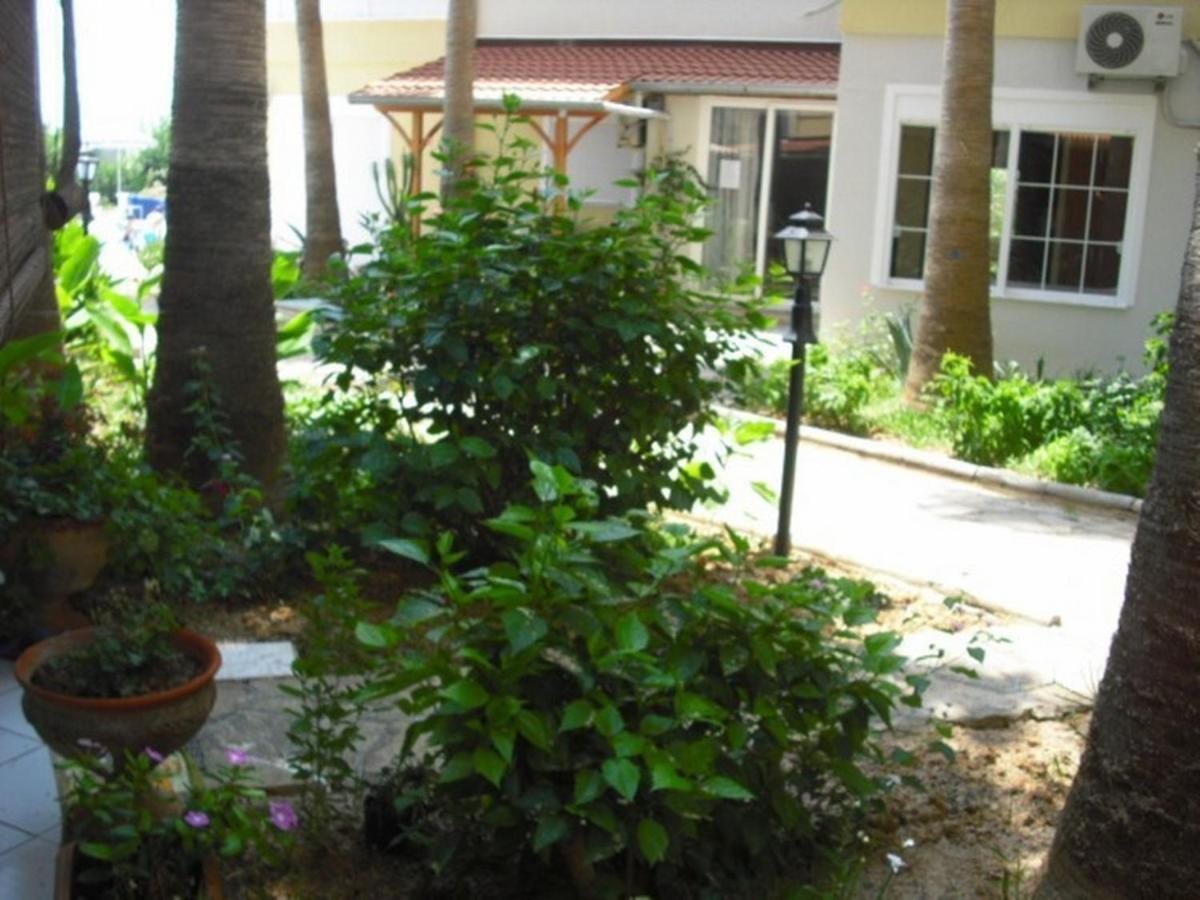 Photo 29